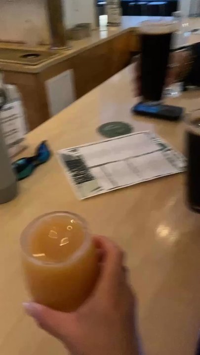 Evil Twin Brewing - Dumbo Taproom - Allegory, Luxurious Volume 15, Dumb Fruit  17 - Breweries Near Me - Brooklyn, New York