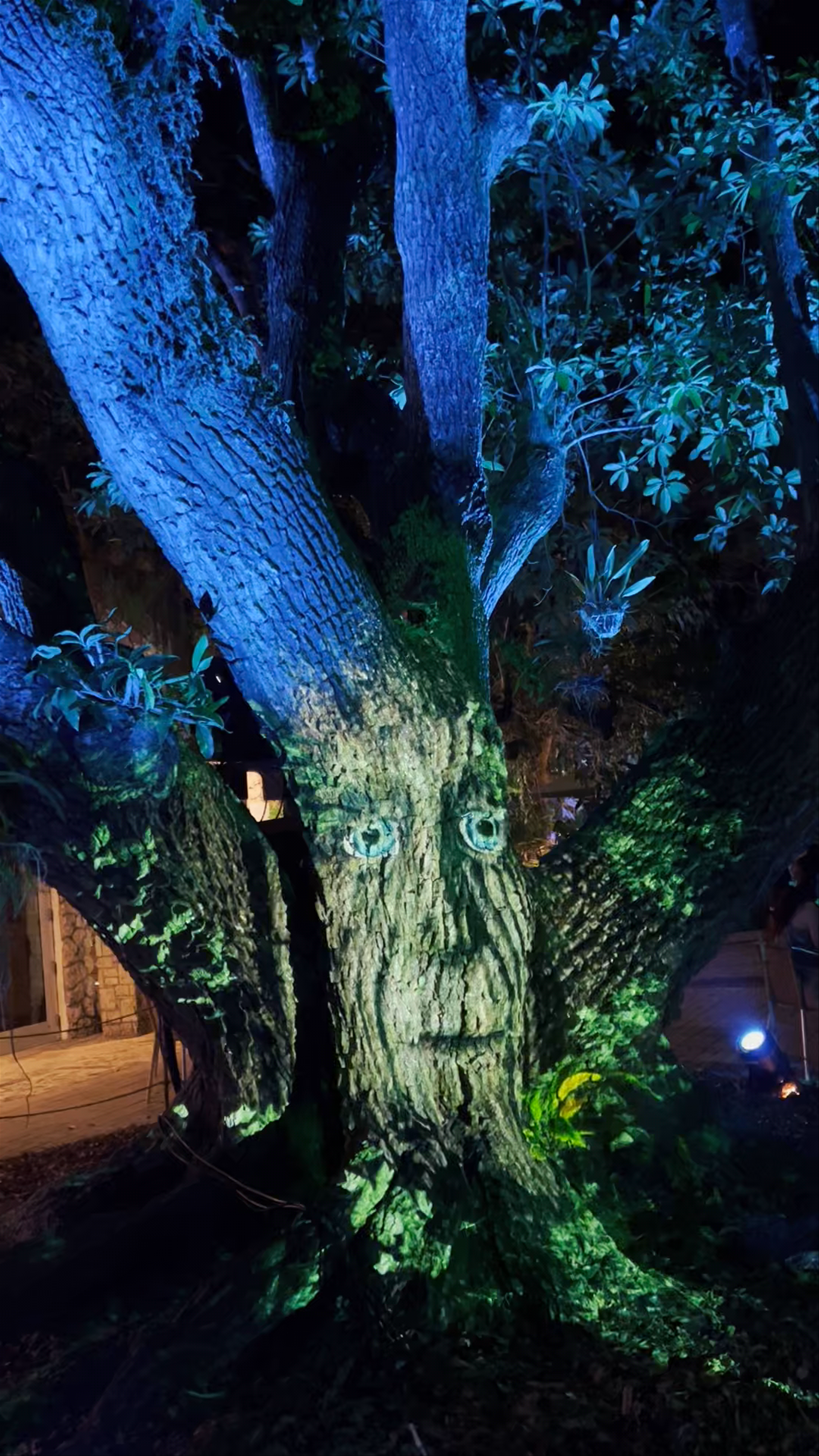 The NightGarden Experience at Fairchild Tropical Botanic Garden