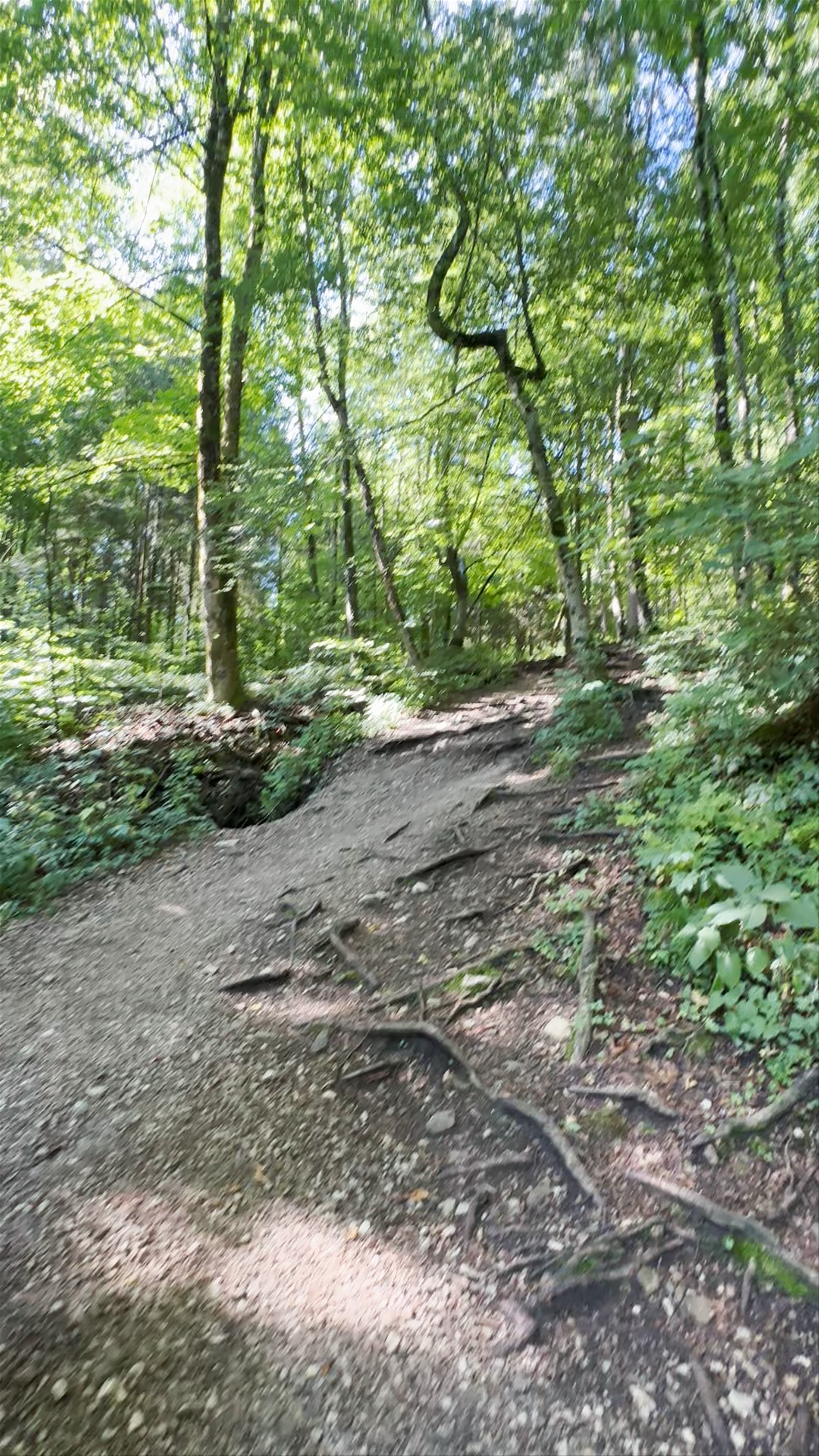 Mala Osojnica Trailhead