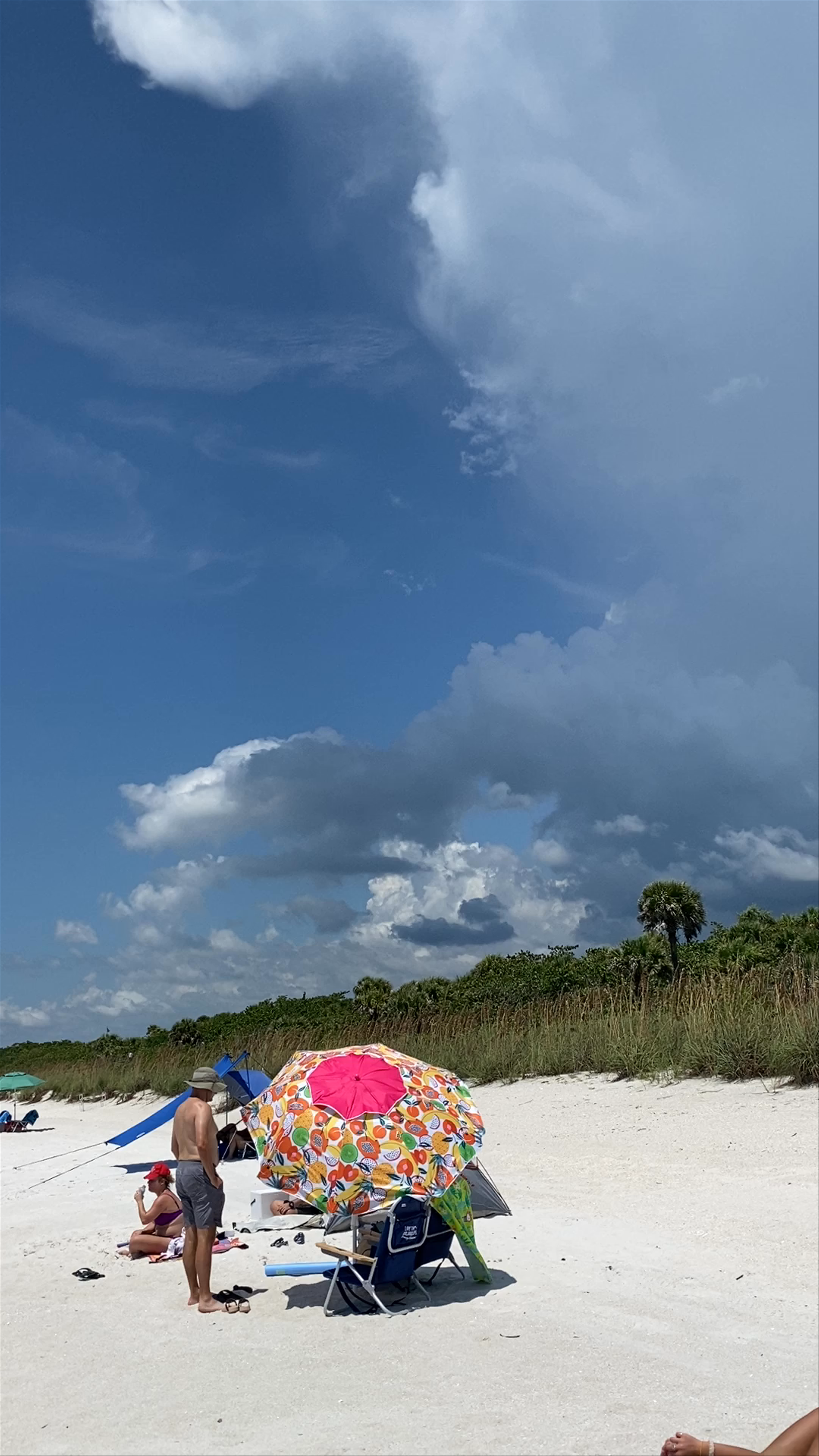 Sun-Kissed Bliss at Barefoot Beach Preserve Park, Bonita Springs