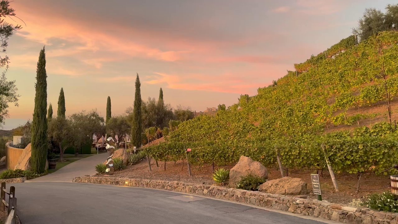 CIELO FARMS - Updated June 2025 - 398 Photos & 157 Reviews - 31424 ...