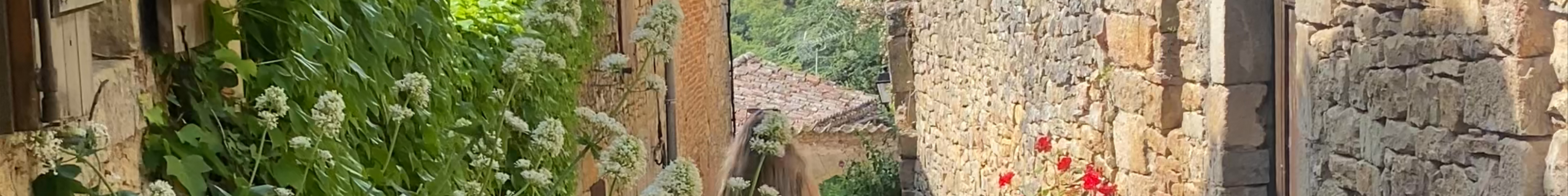 Tours & experiences in Bruniquel
