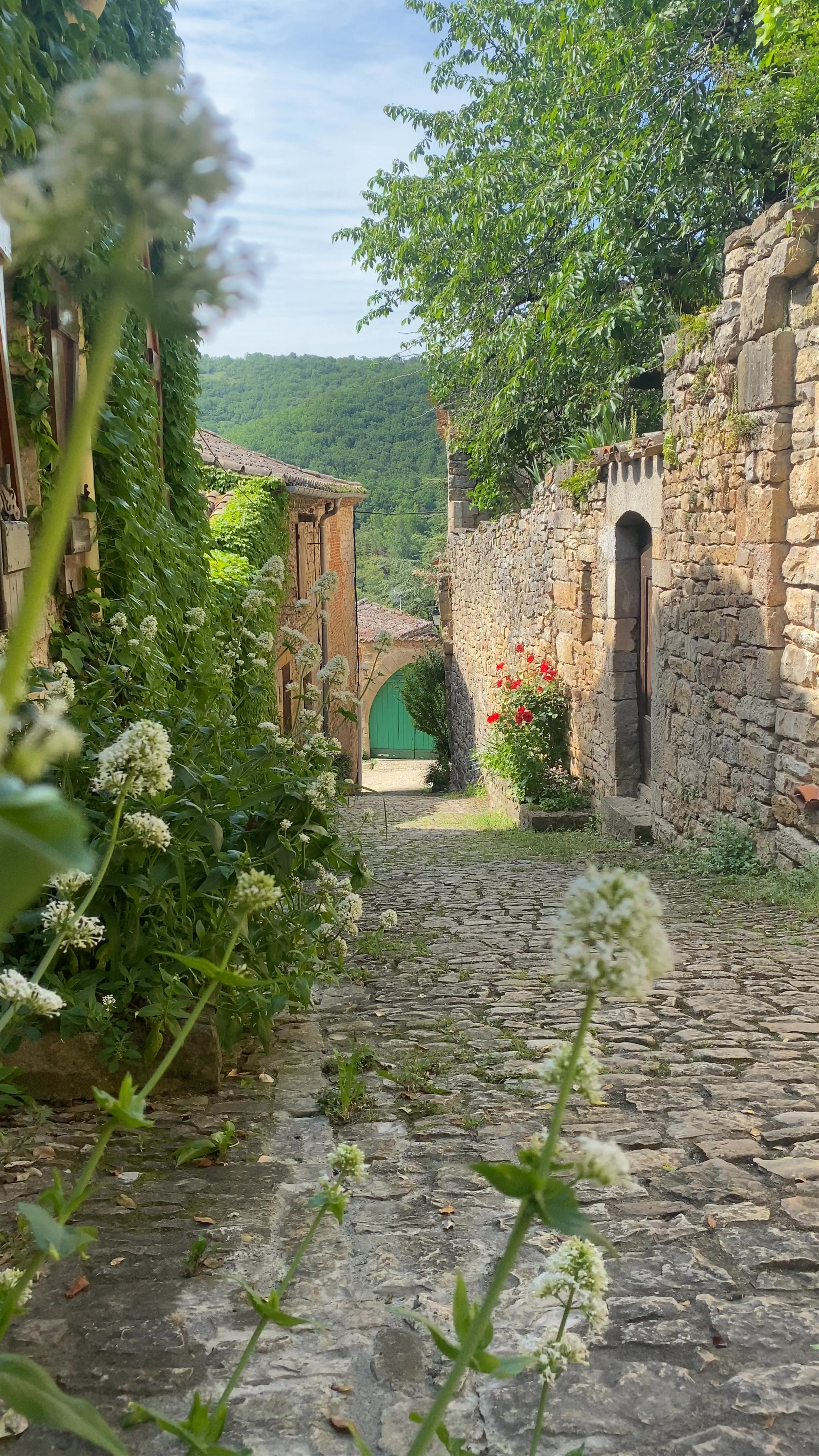 Les Châteaux de Bruniquel