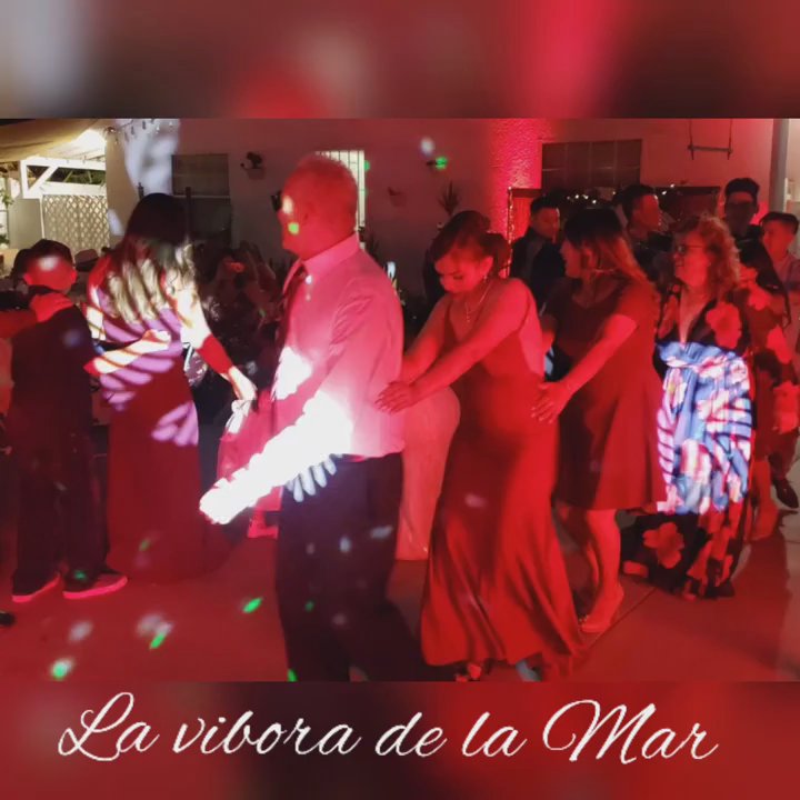 DjNancy - Wedding classics. La vibora de la mar - DJs Near Me