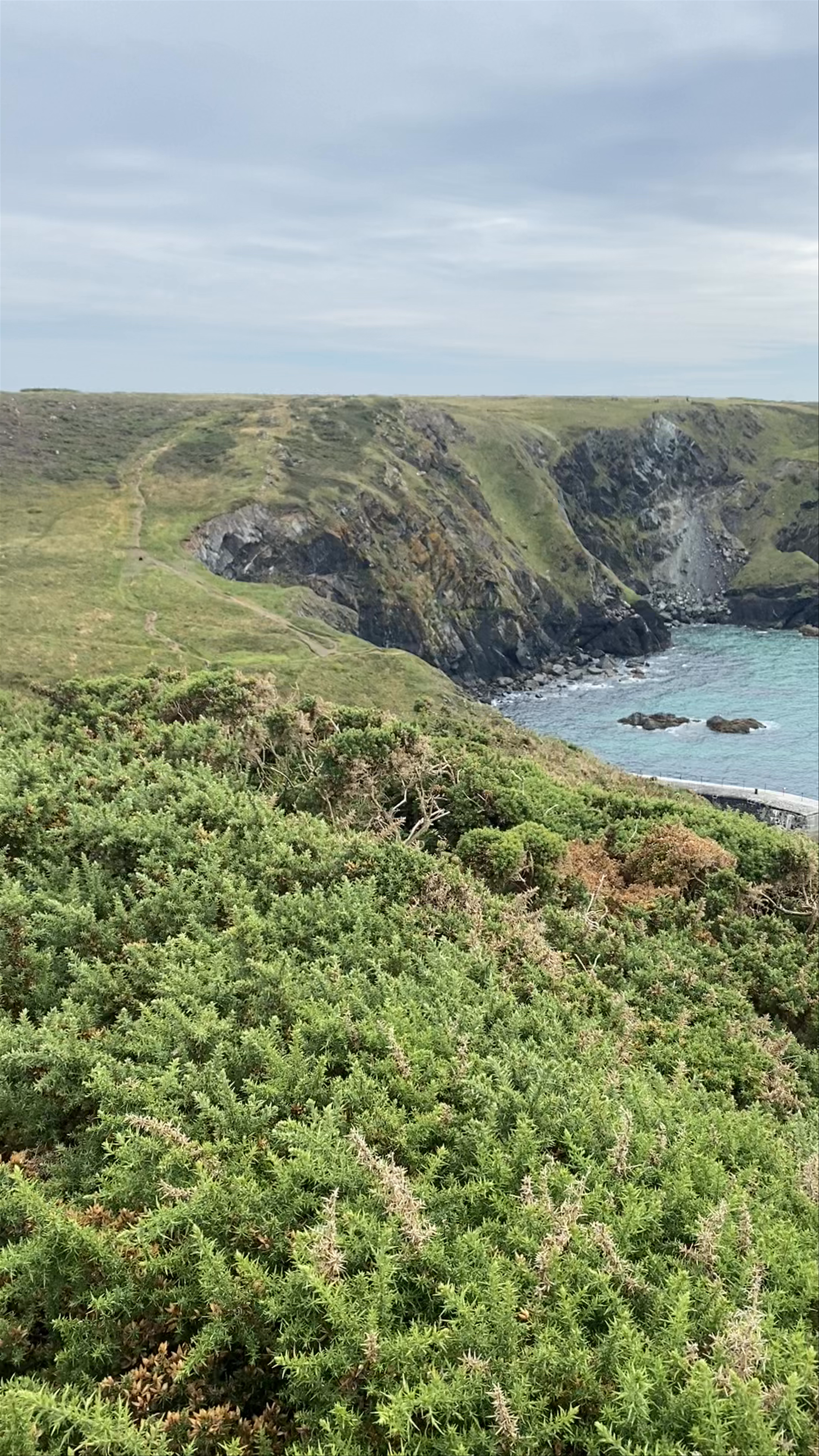 Lizard Point