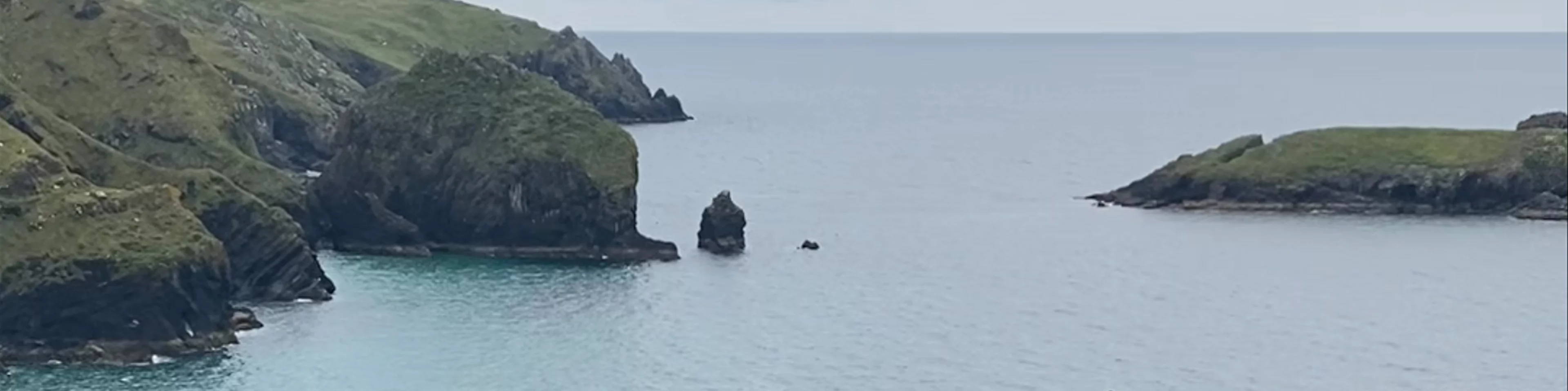 Lizard Point