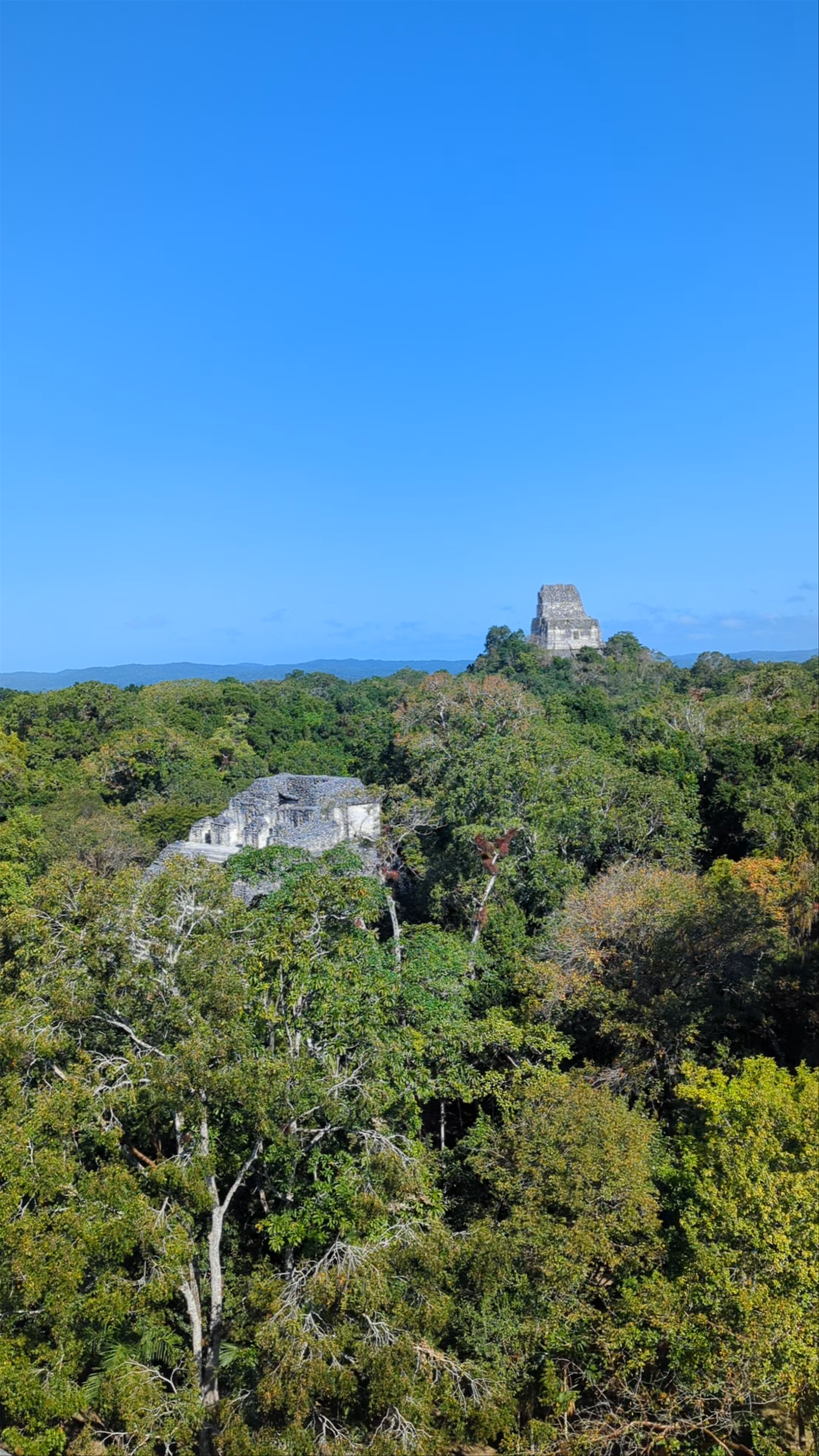 Tikal