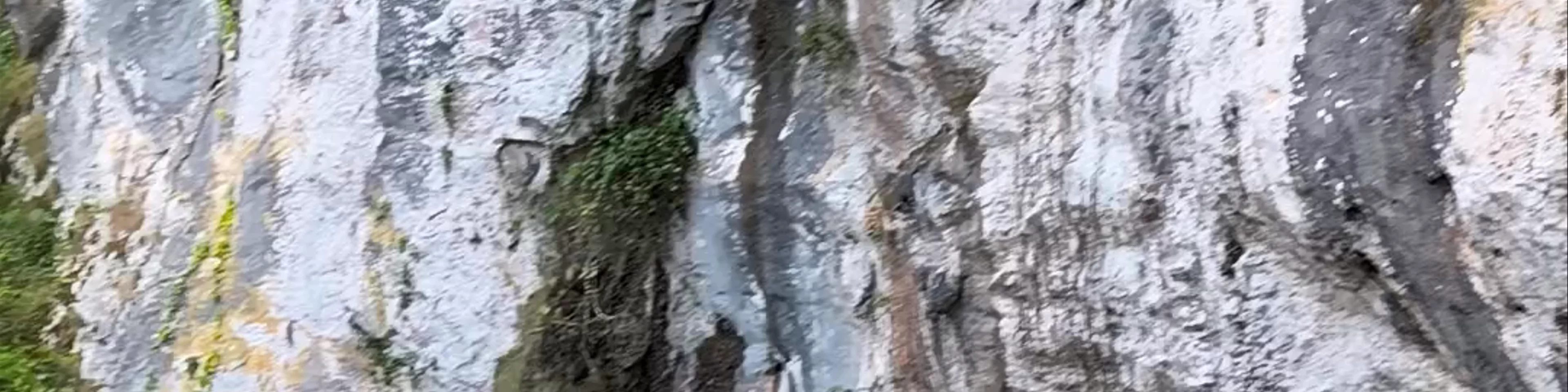 Santuario de Nuestra Señora de Covadonga