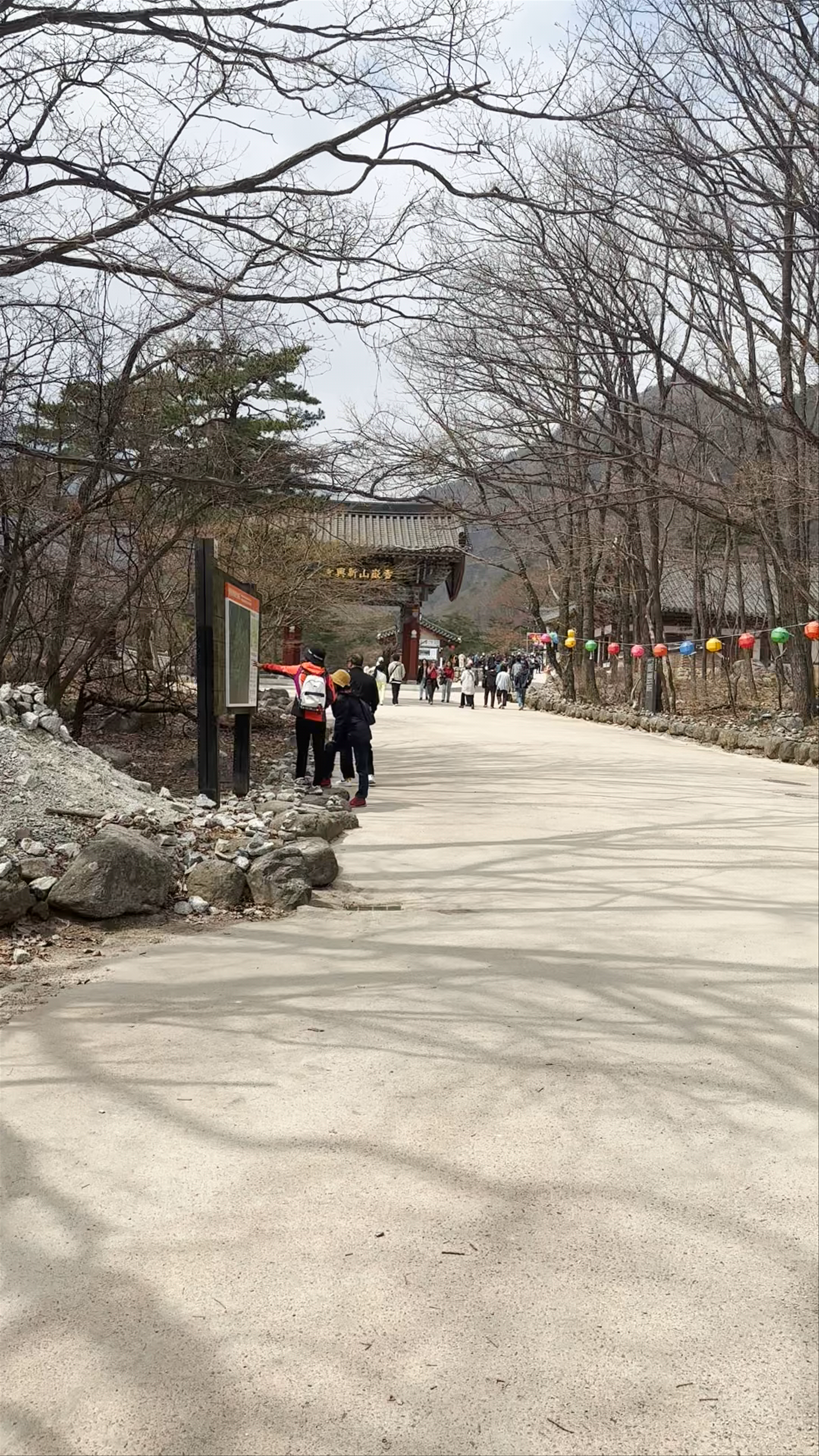 Seoraksan National Park: Spring Awakening in South Korea's Majestic Wilderness
