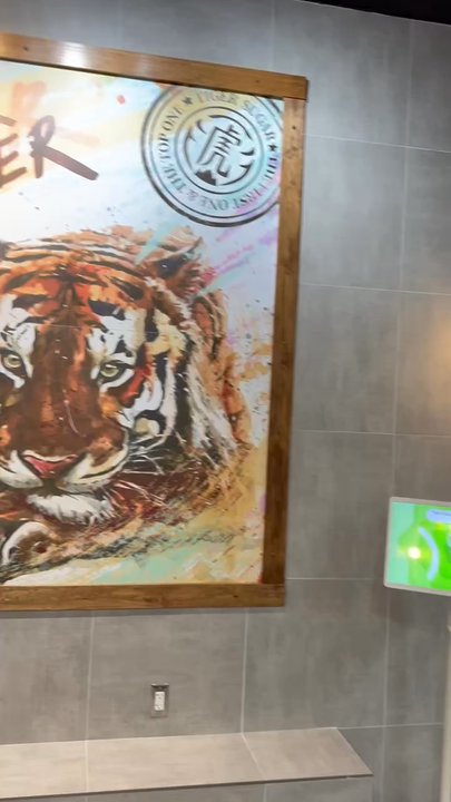 Tiger Sugar - Bubble Tea Near Me - West Bloomfield, Michigan