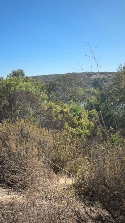 Lake Calavera Preserve - Lake - Parks Near Me - Oceanside, California