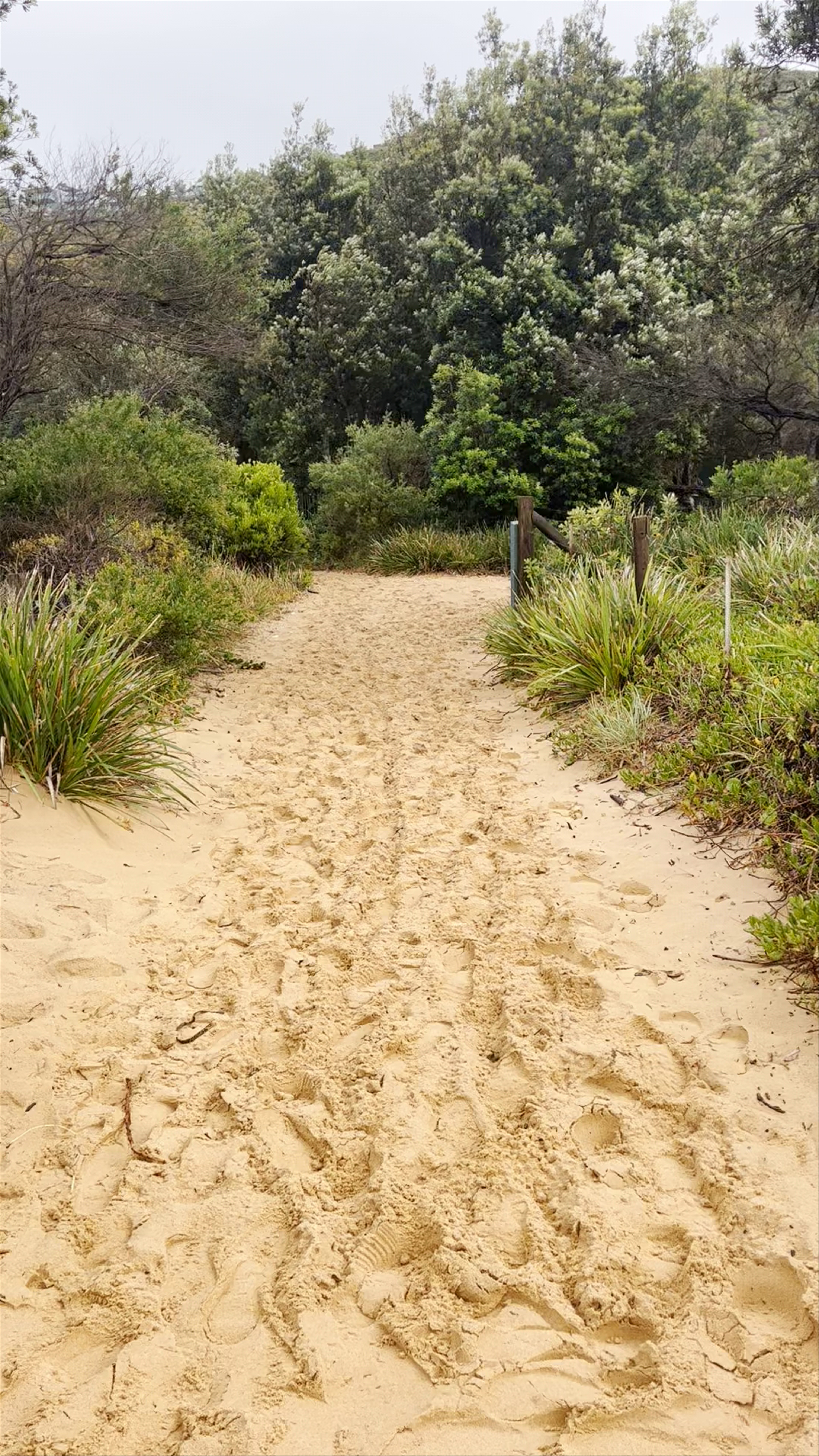 Putty Beach