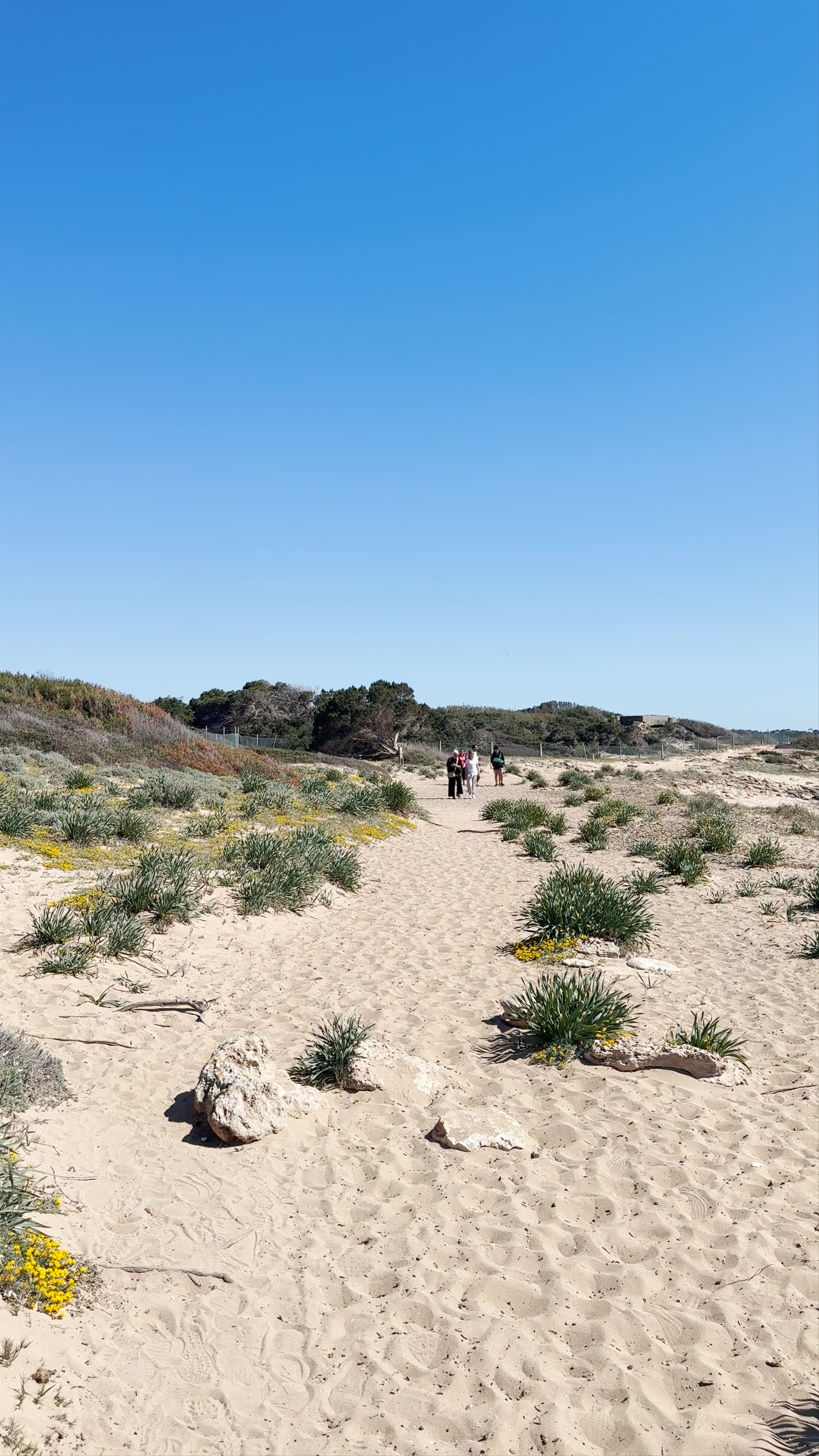 Platja es Carbó