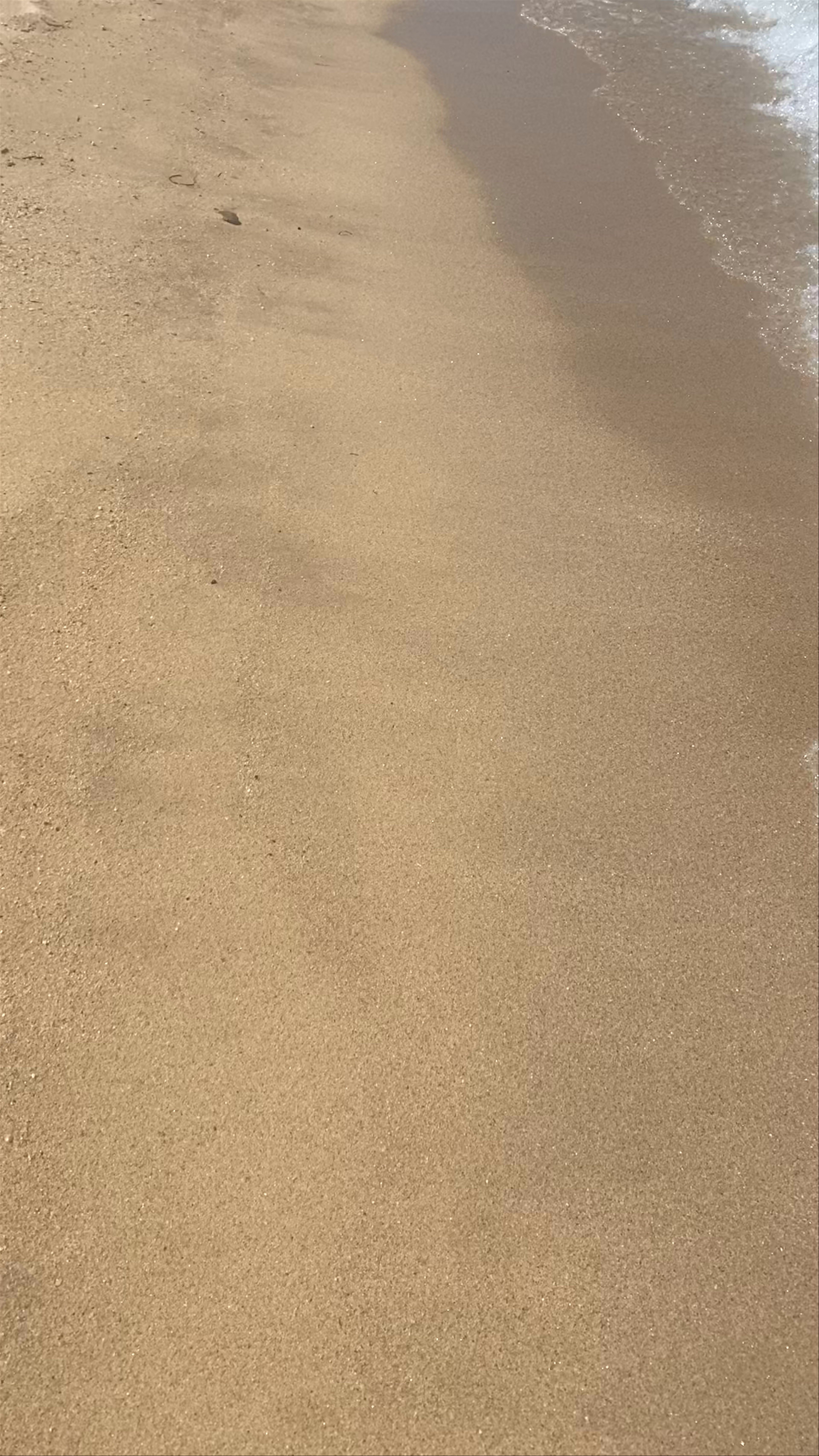 Serene Beach Day at Vinia Beach, Stagira-Akanthos, Greece