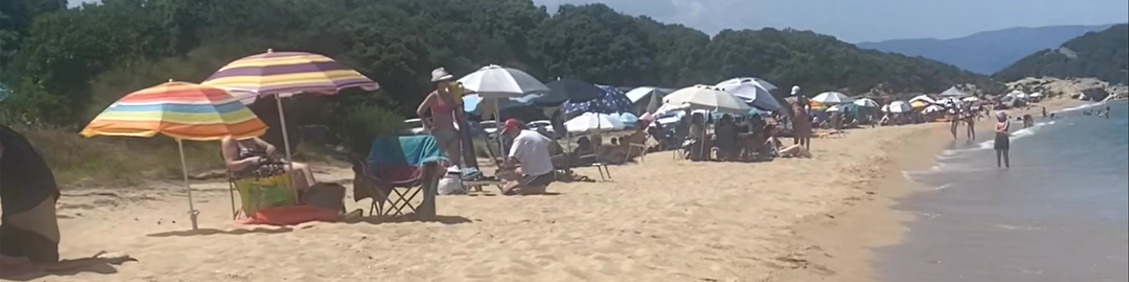Paralia Vinia