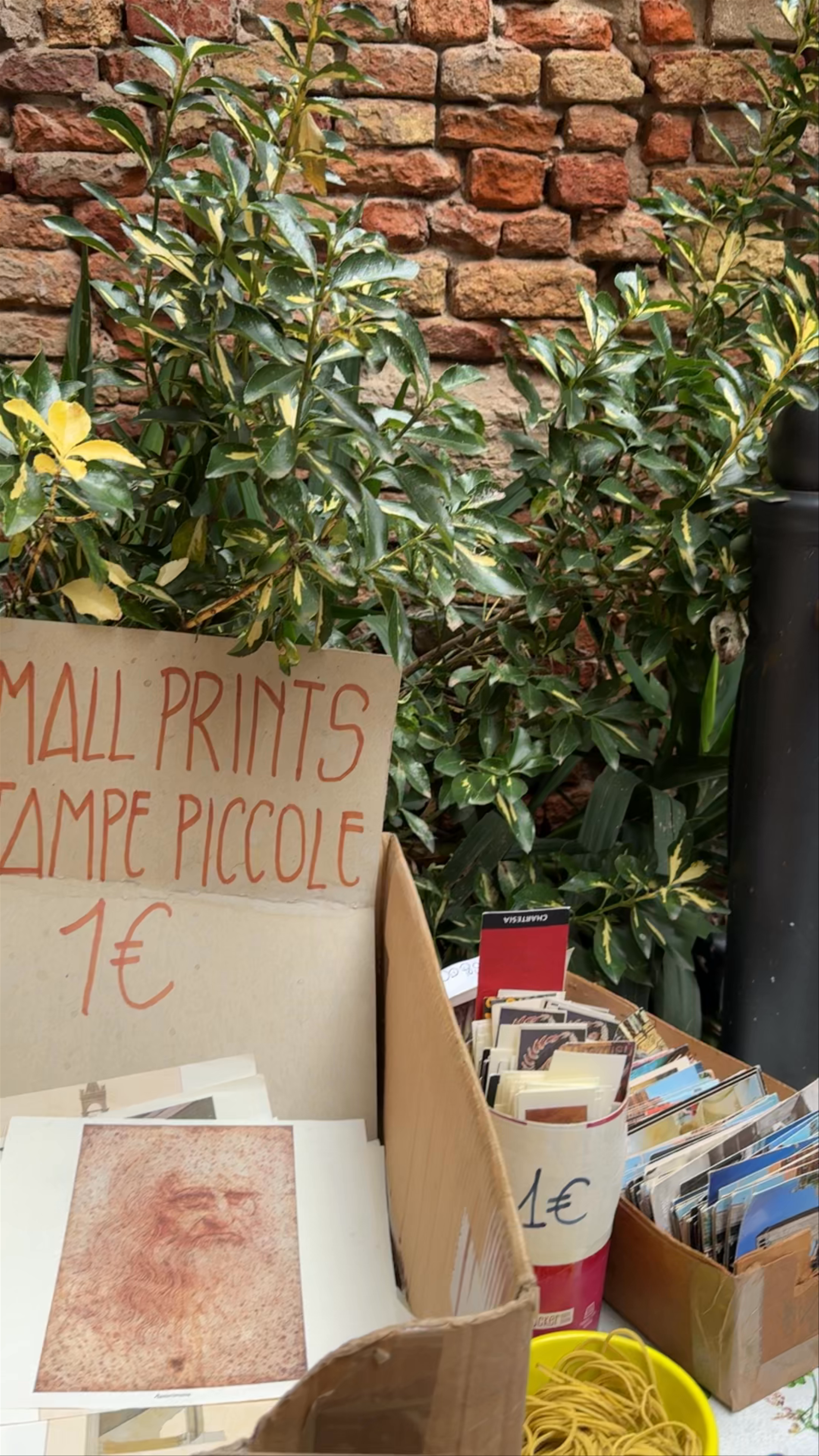 Libreria Acqua Alta: Venice's Enchanting Bookstore Wonderland