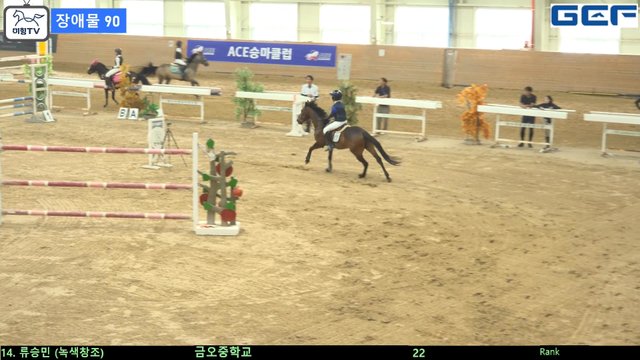 류승민 (녹색창조) — 제2회 경기도체육회장배 전국승마대회 兼 제107회 전국체육대회 경기도 대표선수 선발전 (장애물) · 장애물 90cm