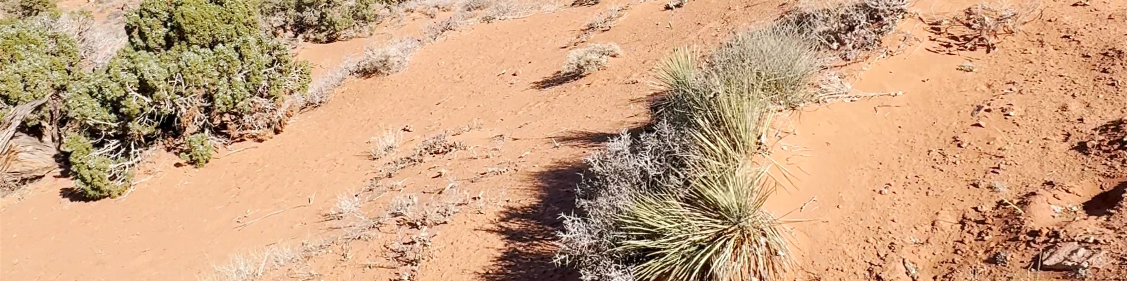 Monument Valley