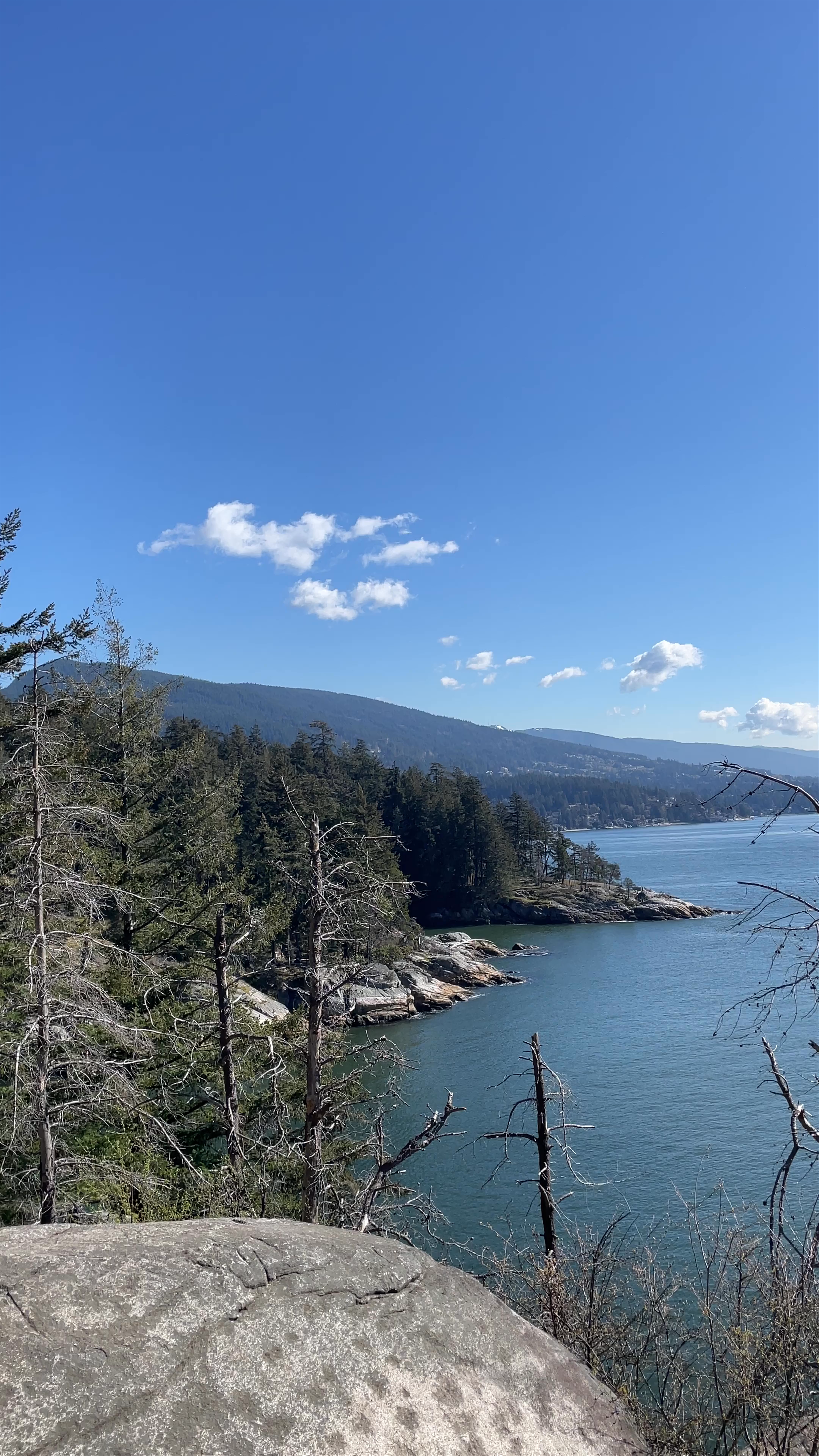 Lighthouse Park: Spectacular Coastal Views in West Vancouver