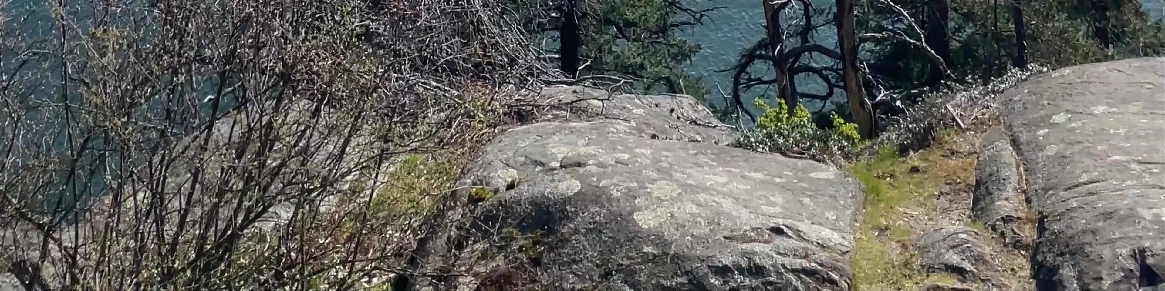 Lighthouse Park