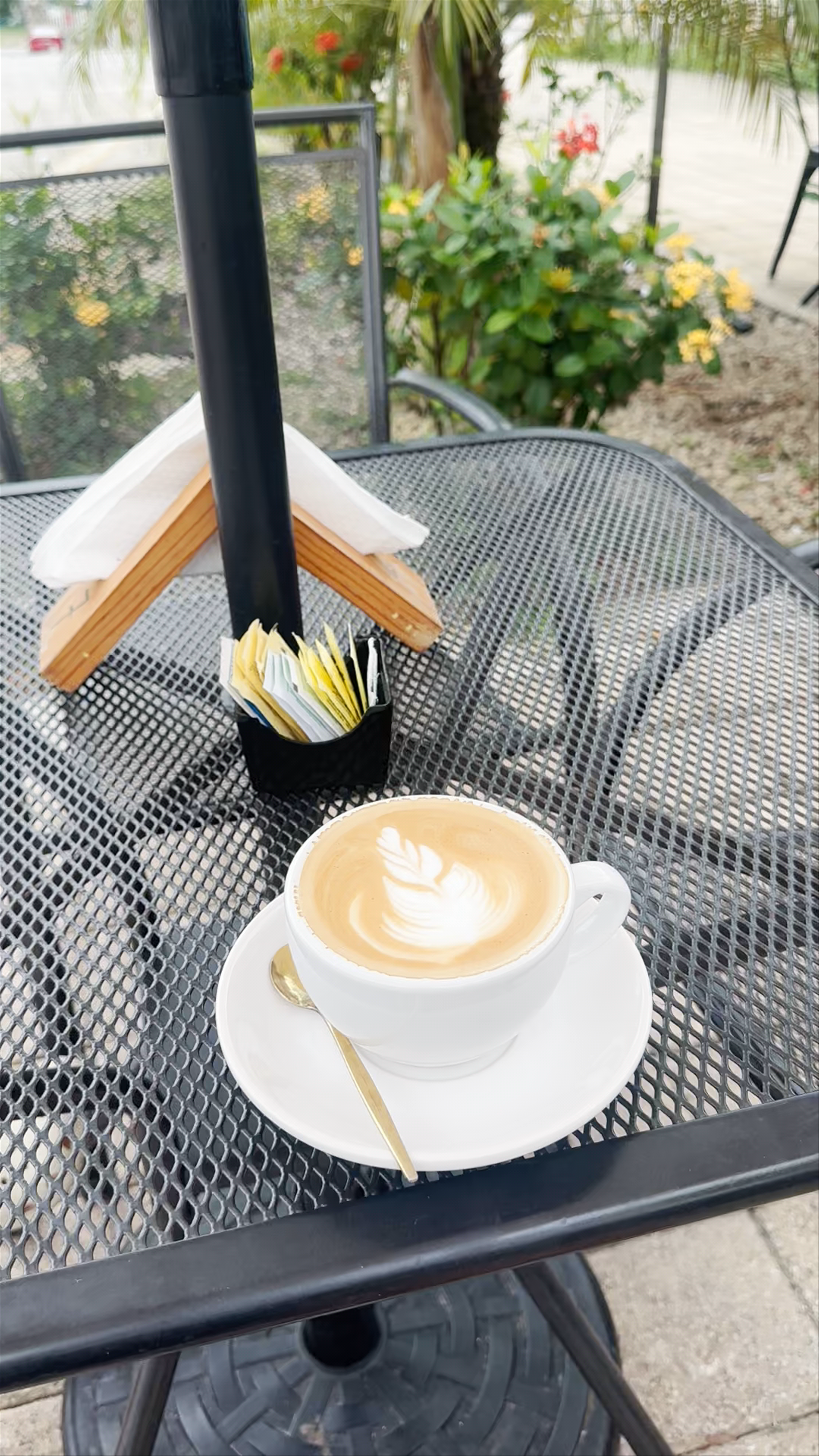 Morning Coffee Moment at Café Tito Bacalar, Quintana Roo