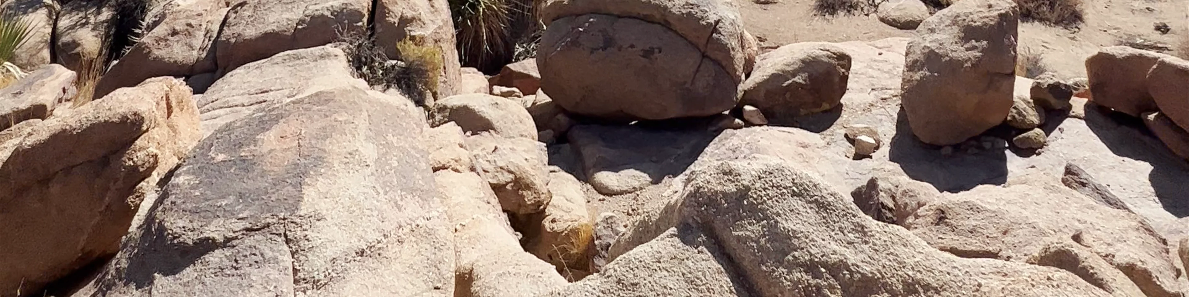 Joshua Tree National Park