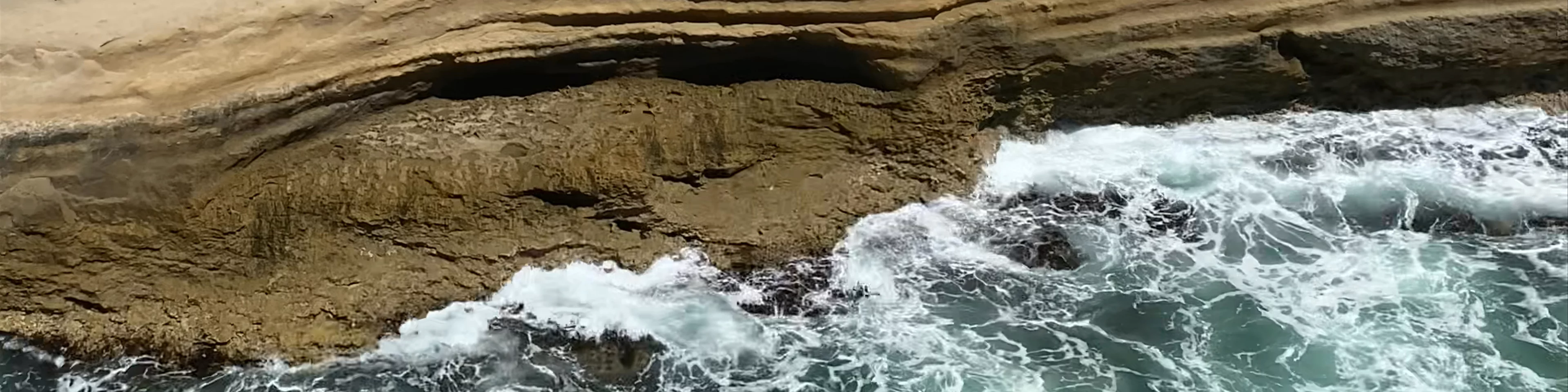 Great Ocean Road Tours