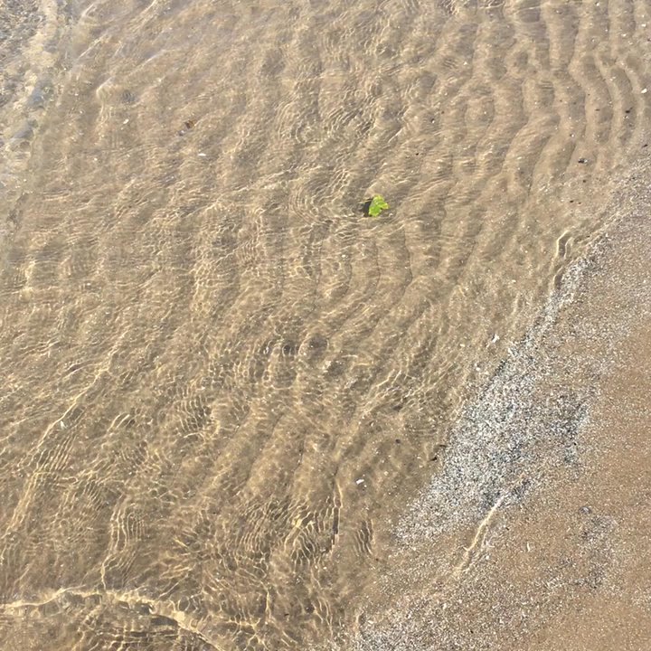 Ontario Beach Park - Parks Near Me - Rochester, New York