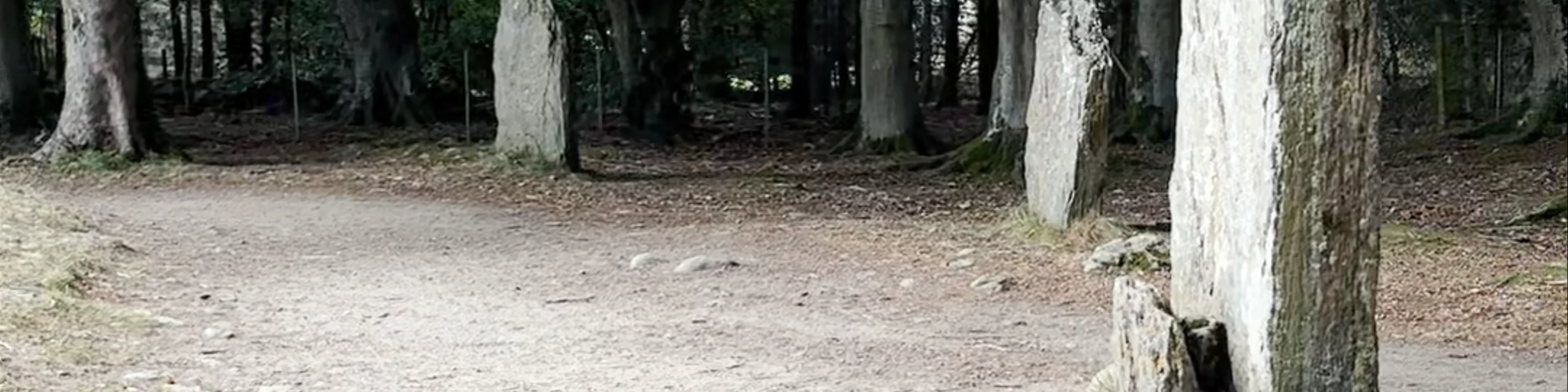 Clava Cairns