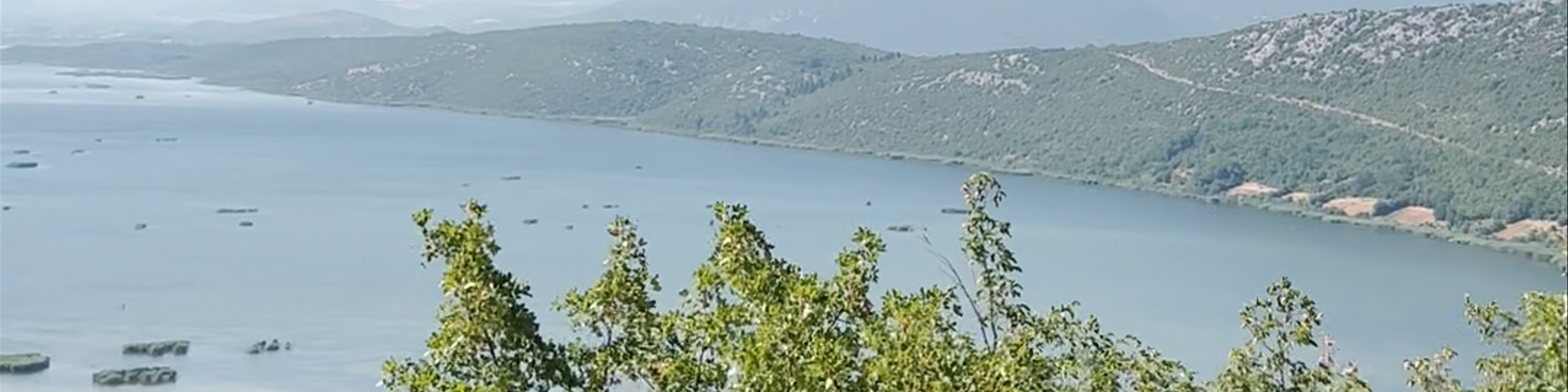 Metković