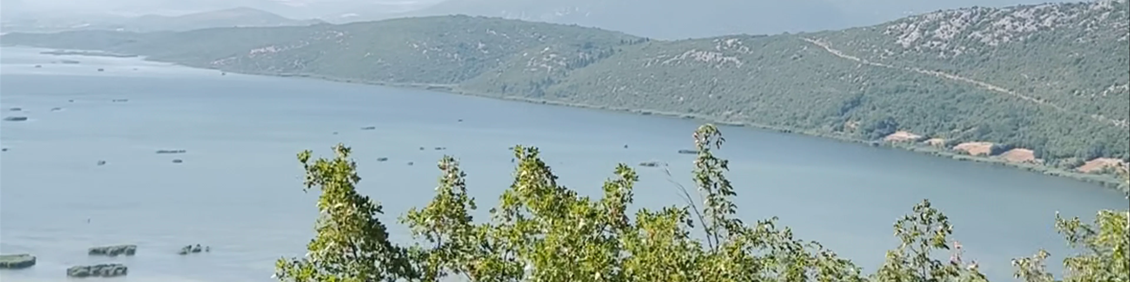 LAKE TOUR SVITAVA - OZ. "PLAVO ZELENA"