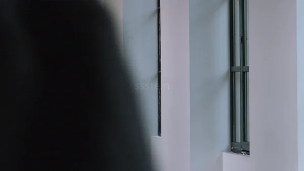 Ssstein - © Artlist