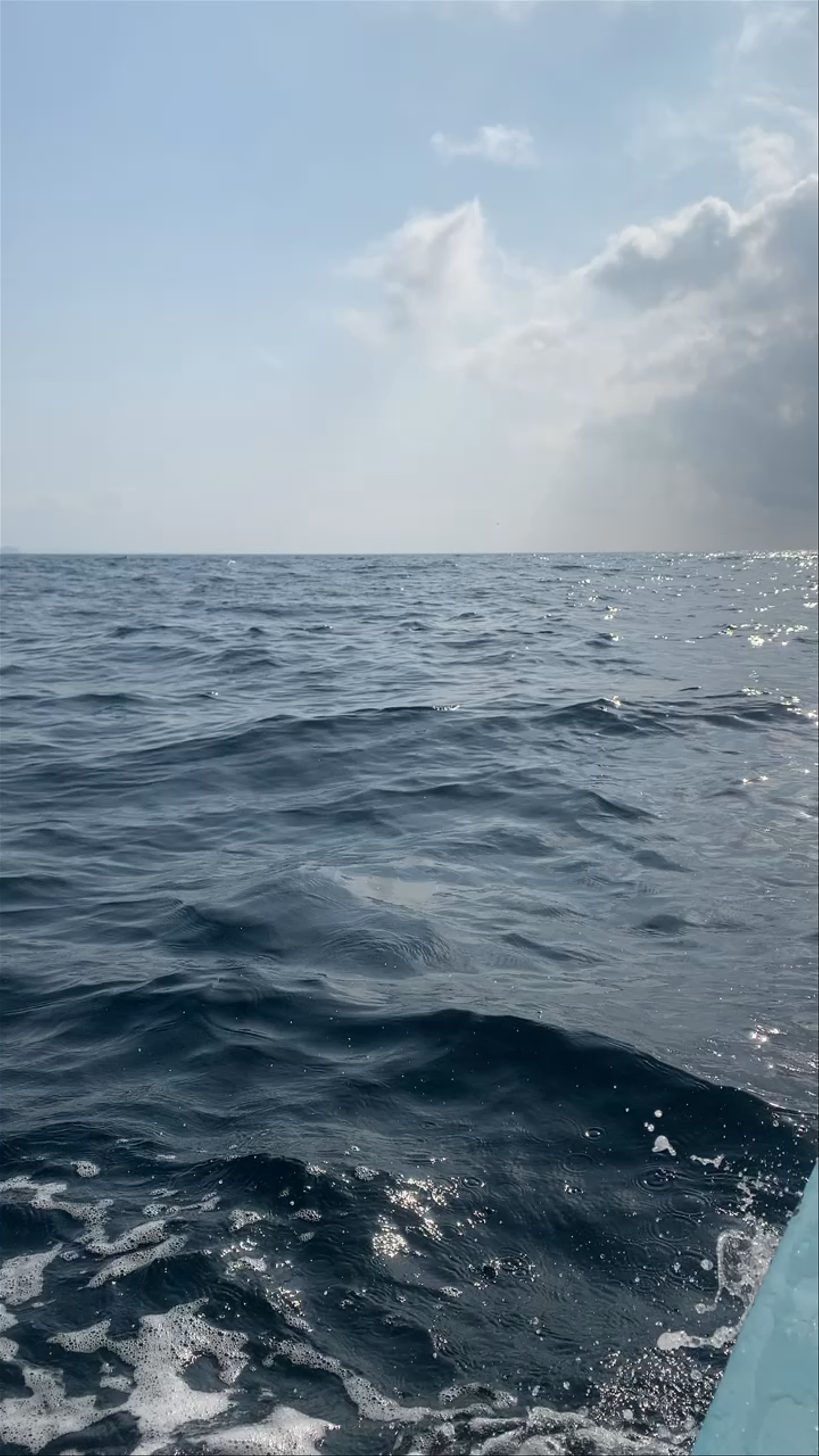 Mazunte Dolphin & Whale tour