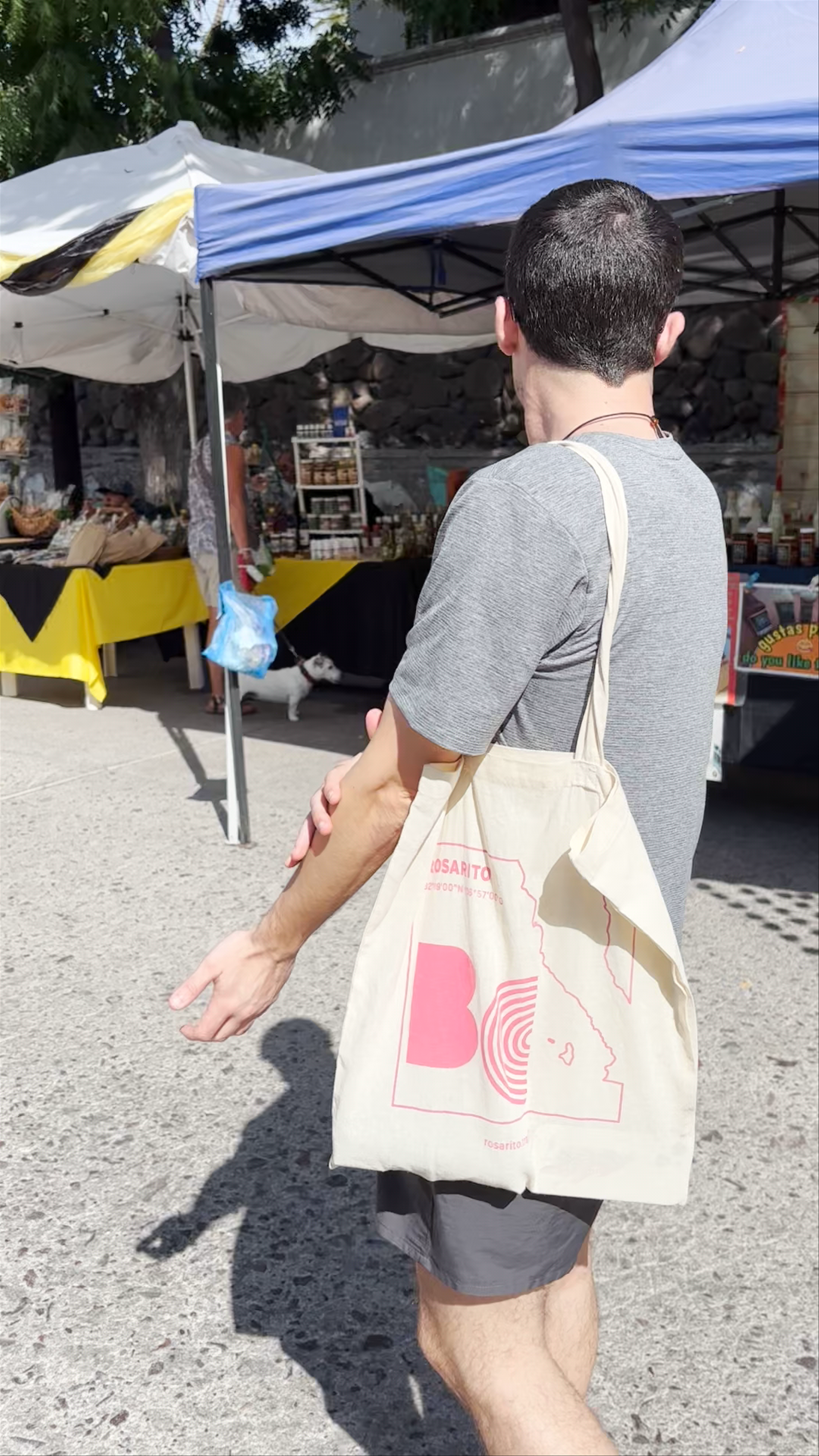 Mercado Orgánico y Artesanal: Authentic Local Market Vibes in La Paz