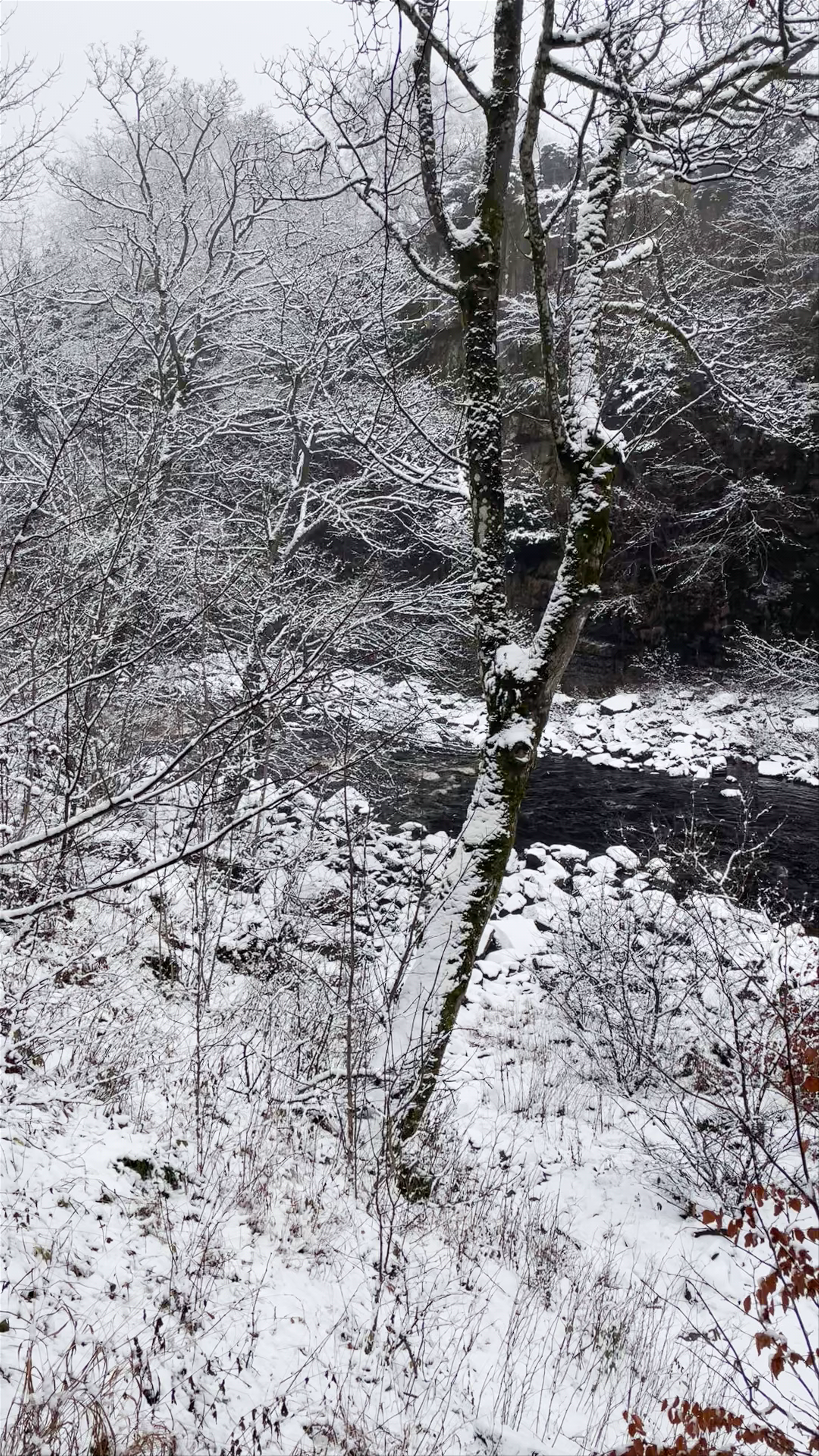 Winter Serenity at High Force Waterfall, Barnard Castle, UK