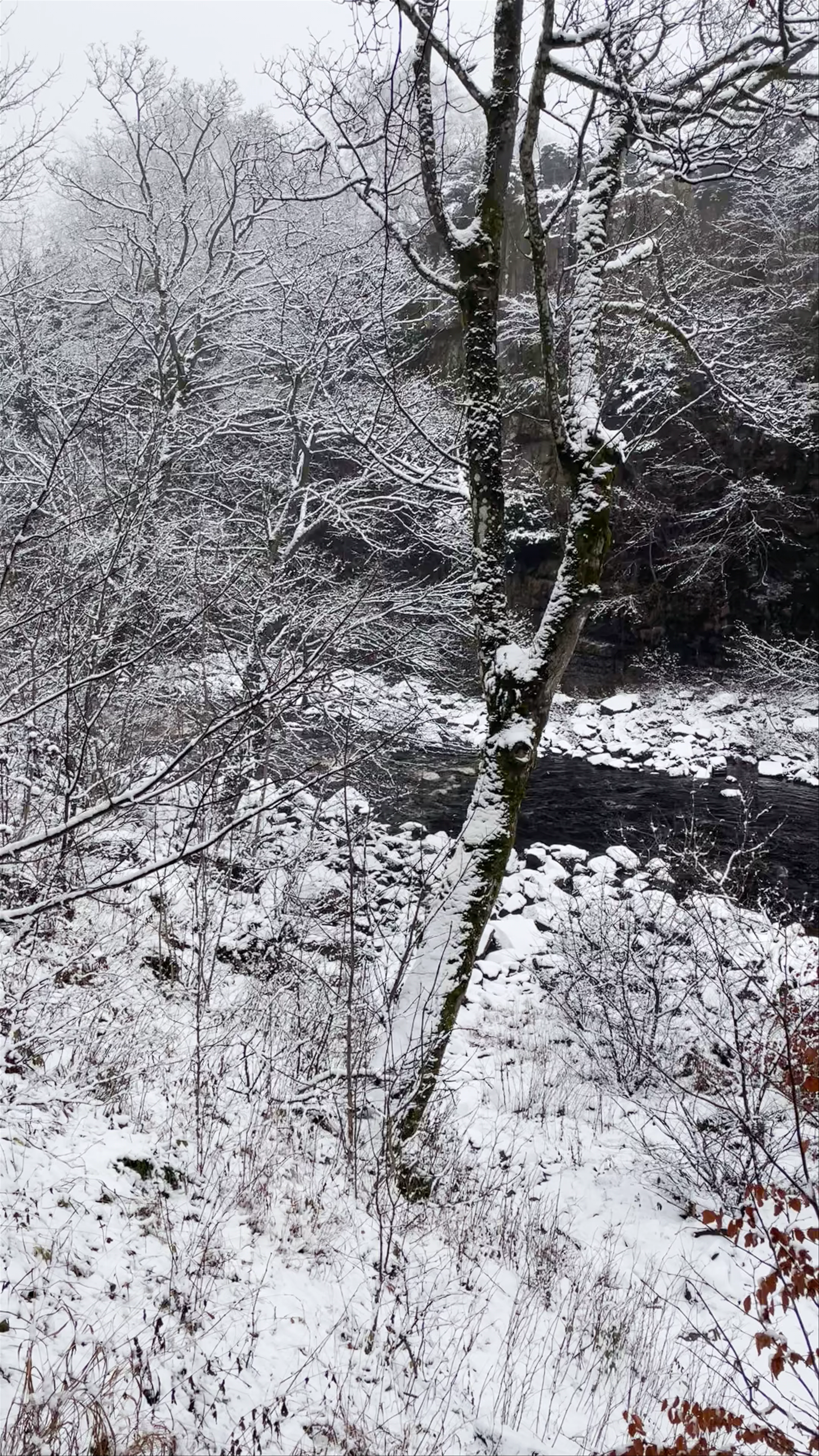High Force Waterfall