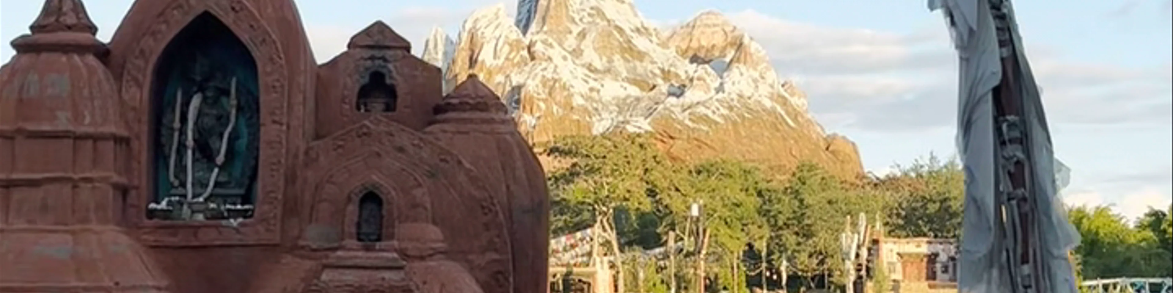 Disney's Animal Kingdom Theme Park