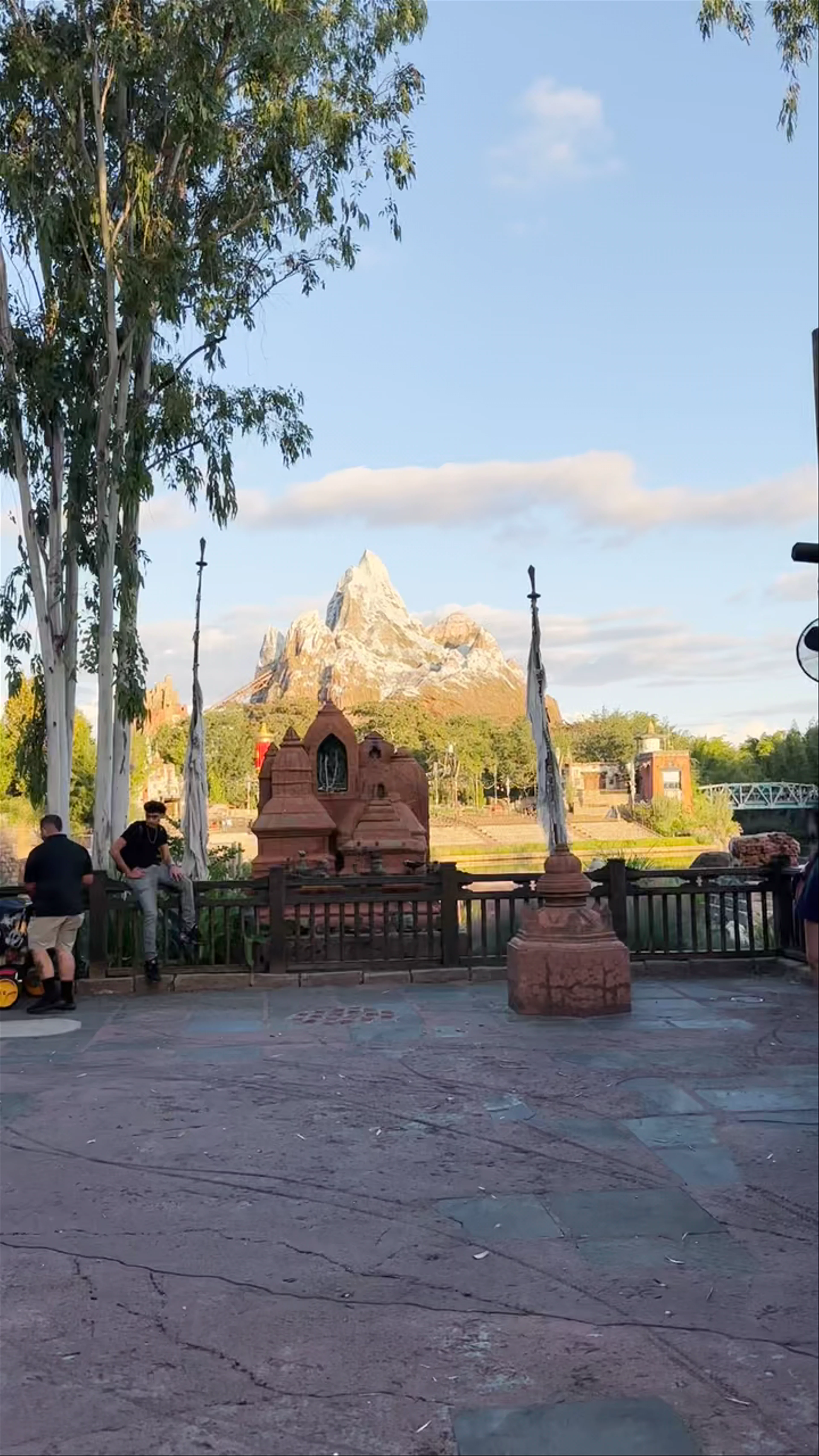 Disney's Animal Kingdom Theme Park