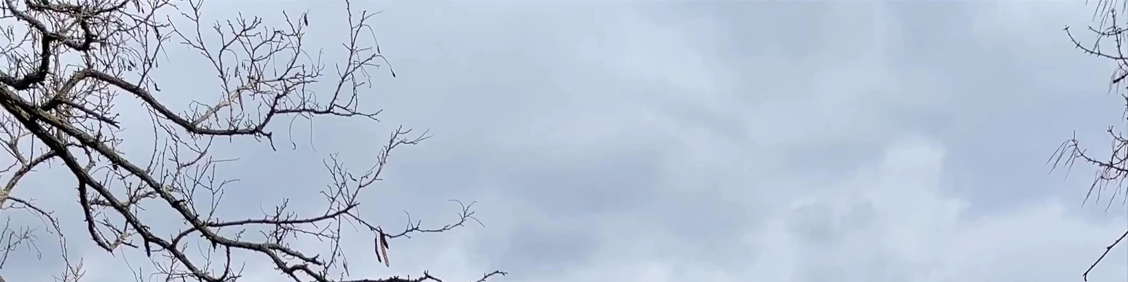 Bulwar Piotra Włostowica