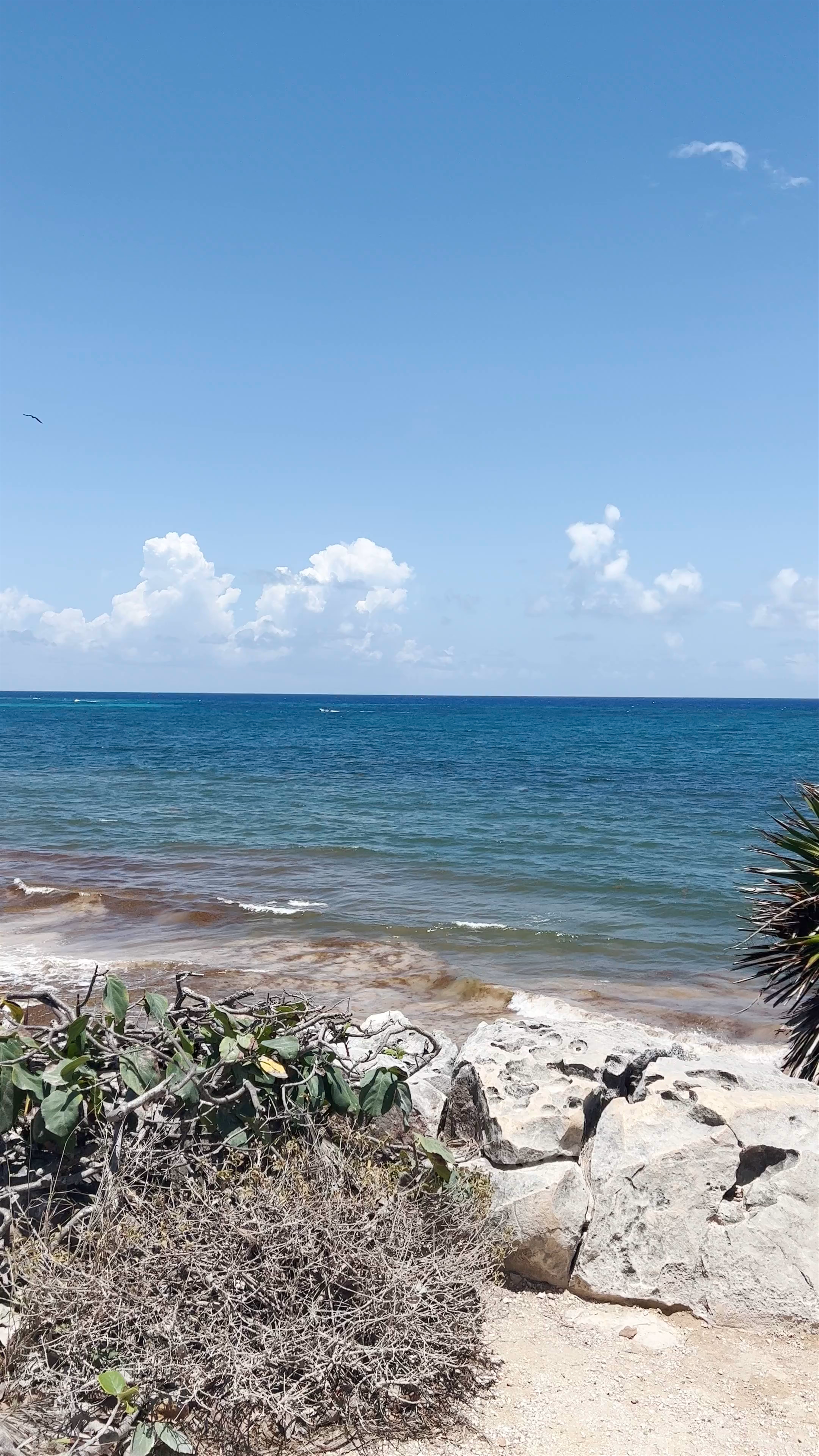 Playita Tortuga