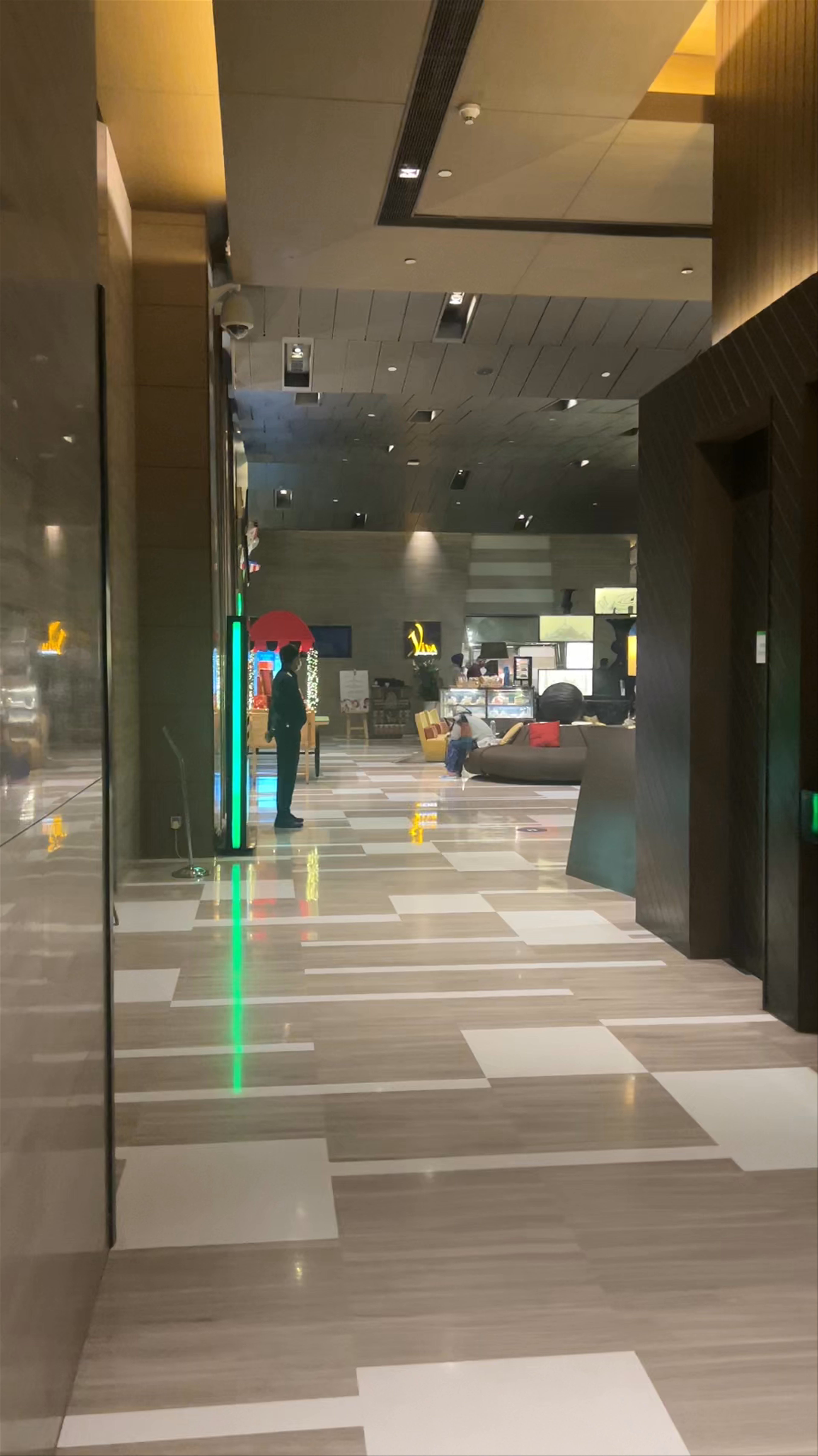 Holiday Inn New Delhi Int'L Airport