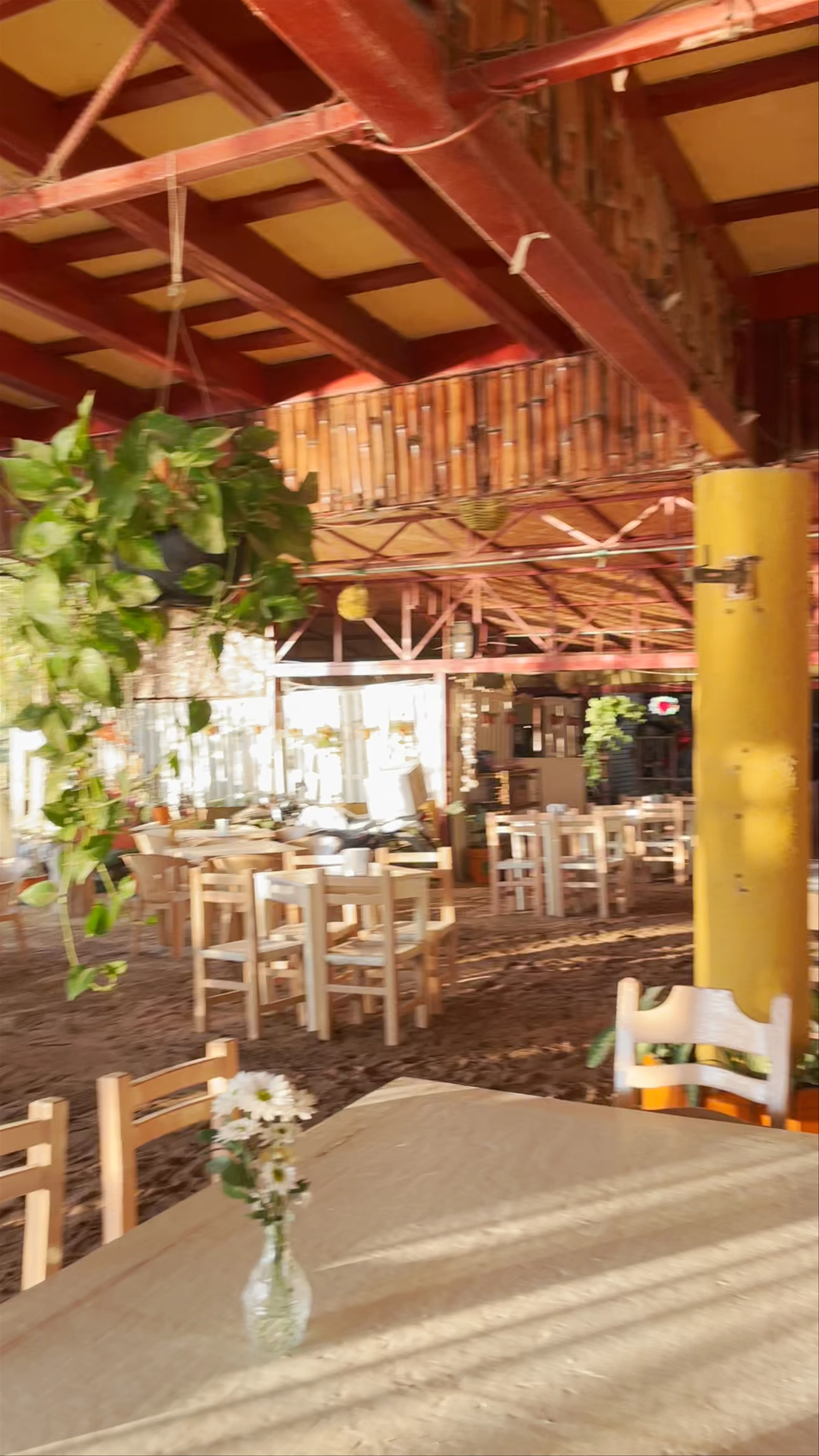EL OASIS DEL HOLI, Zona Hotelera, Zona Hotelera Norte, Puerto Vallarta, Jalisco, Mexico