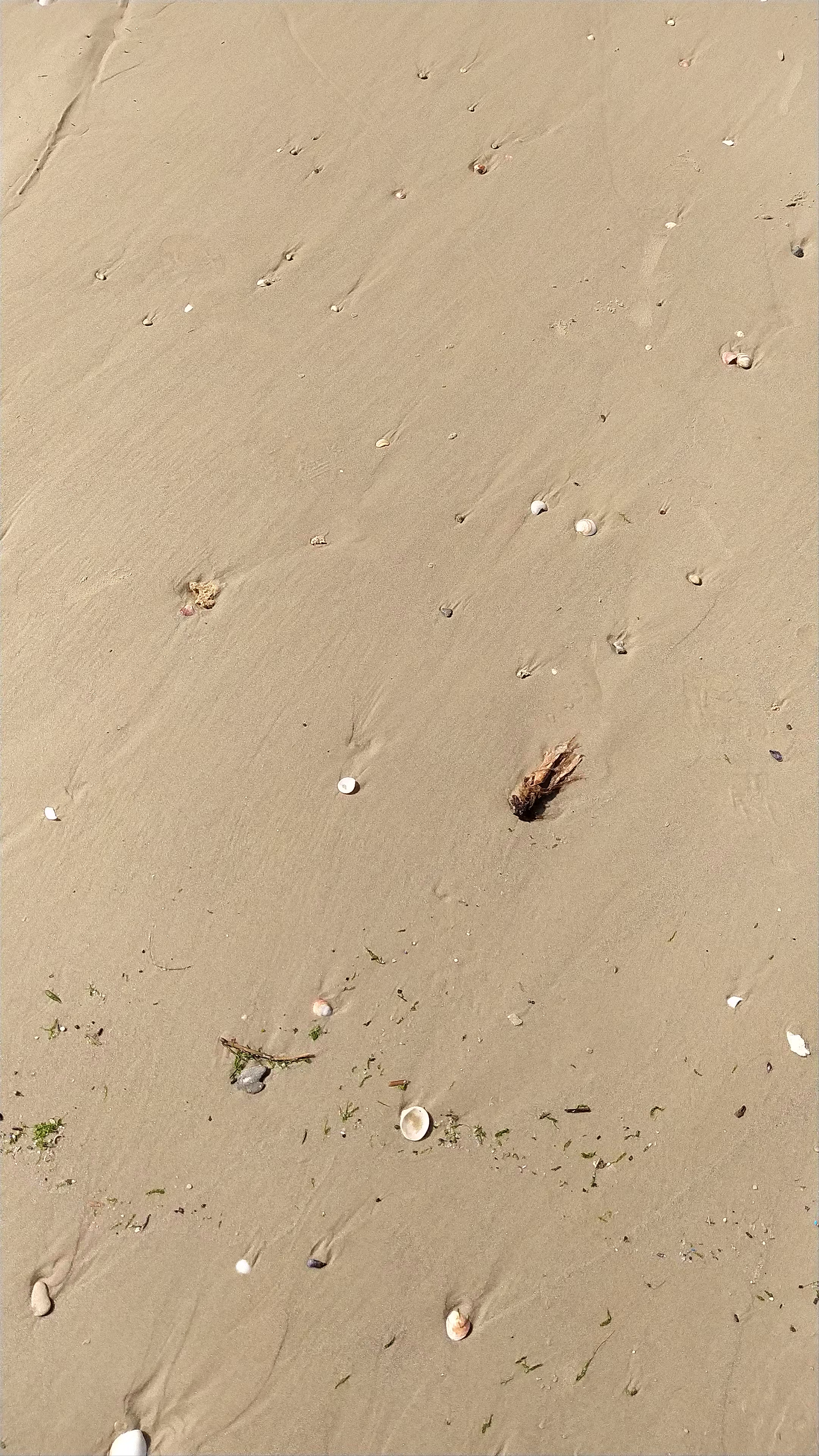 פארק נחל חדרה