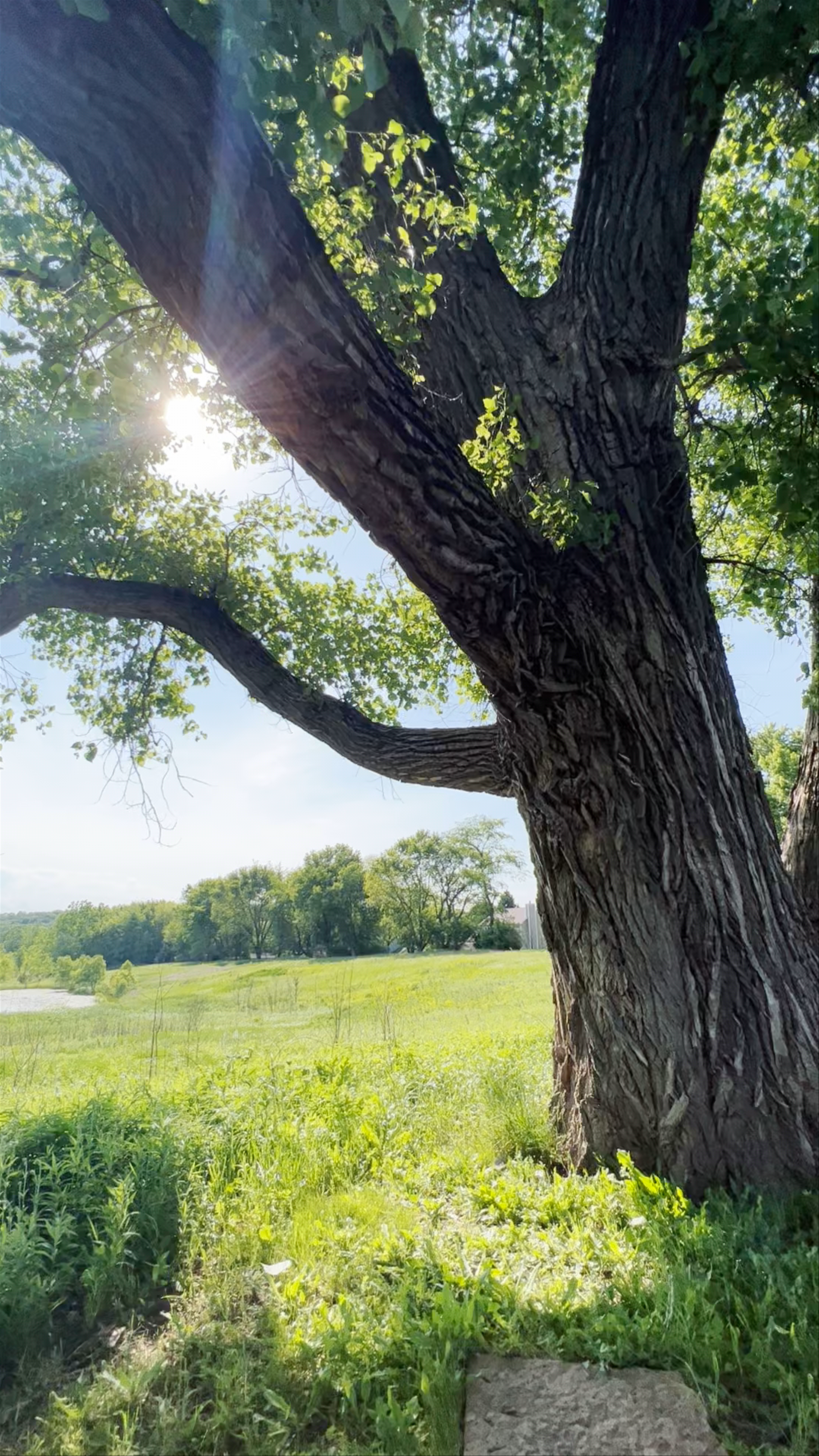 Jelke Creek Bird Sanctuary