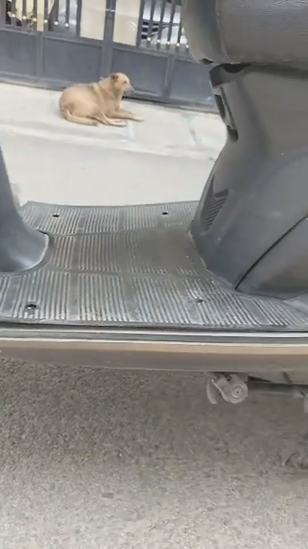 Walk-around video thumbnail