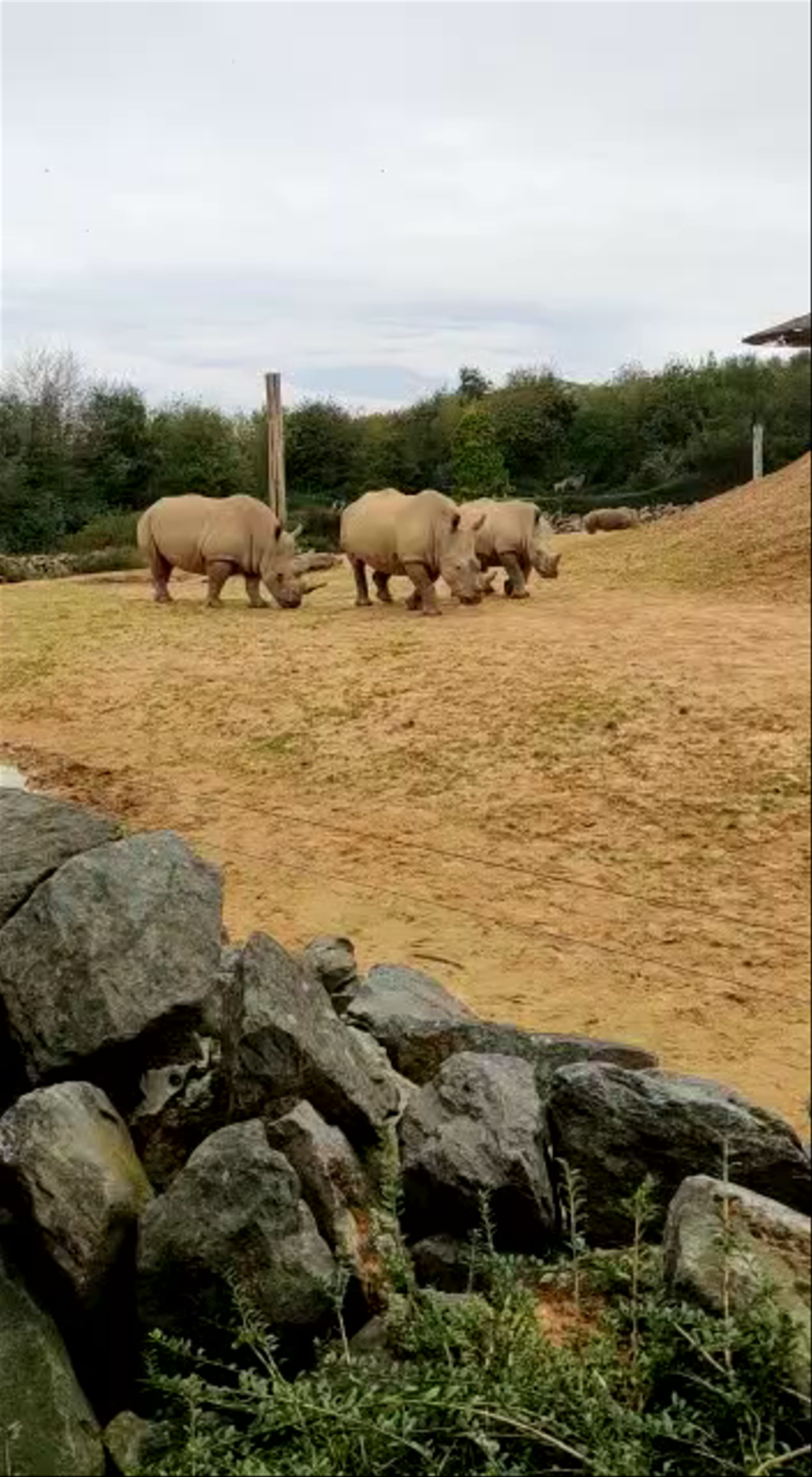 Colchester Zoo