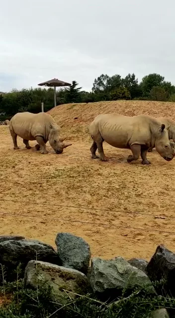 Colchester Zoo