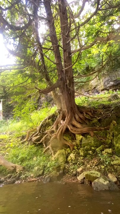 Elora Gorge Conservation Area - Parks Near Me - Elora, Ontario