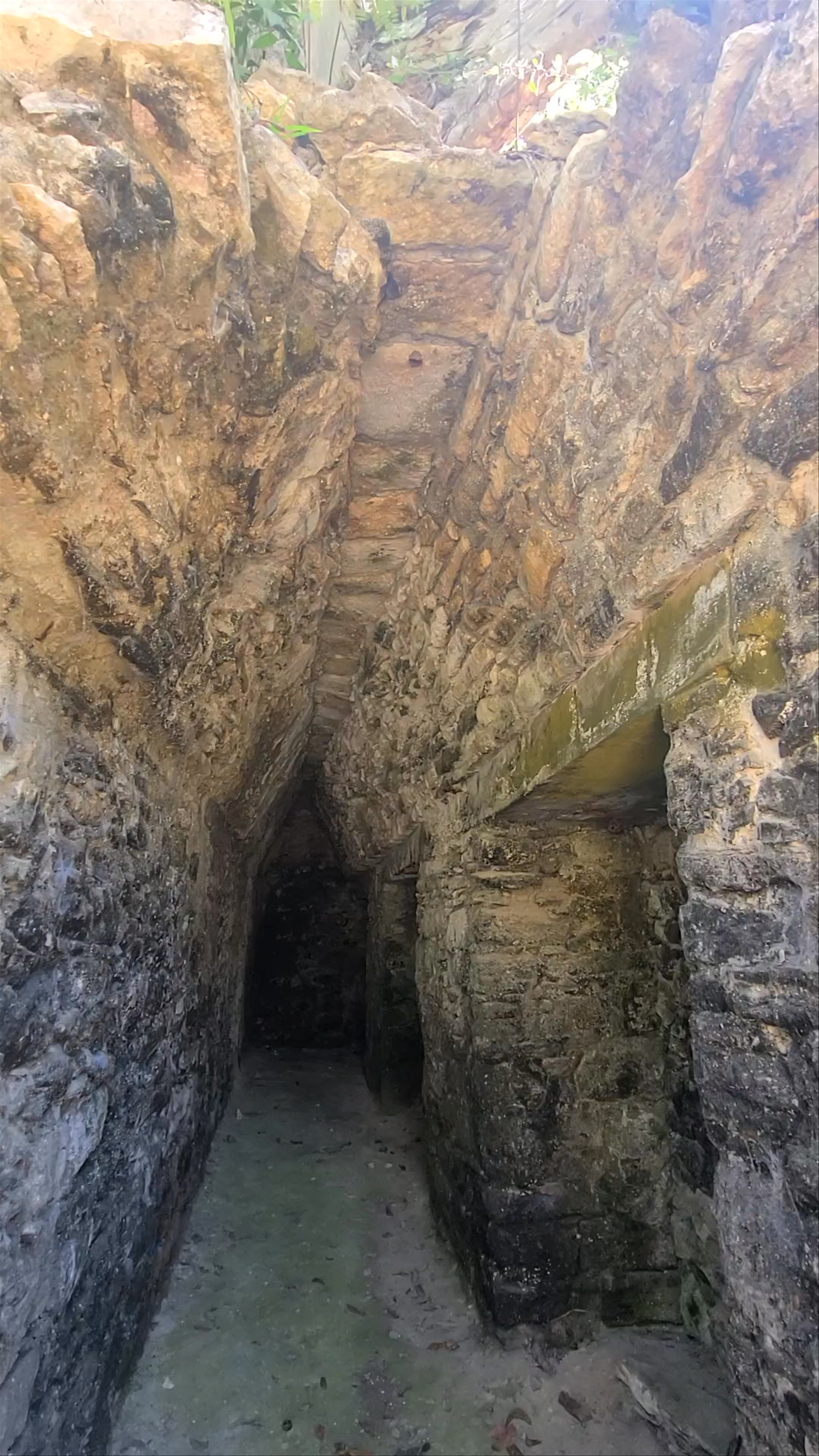 Coba Ruins Walking Tour