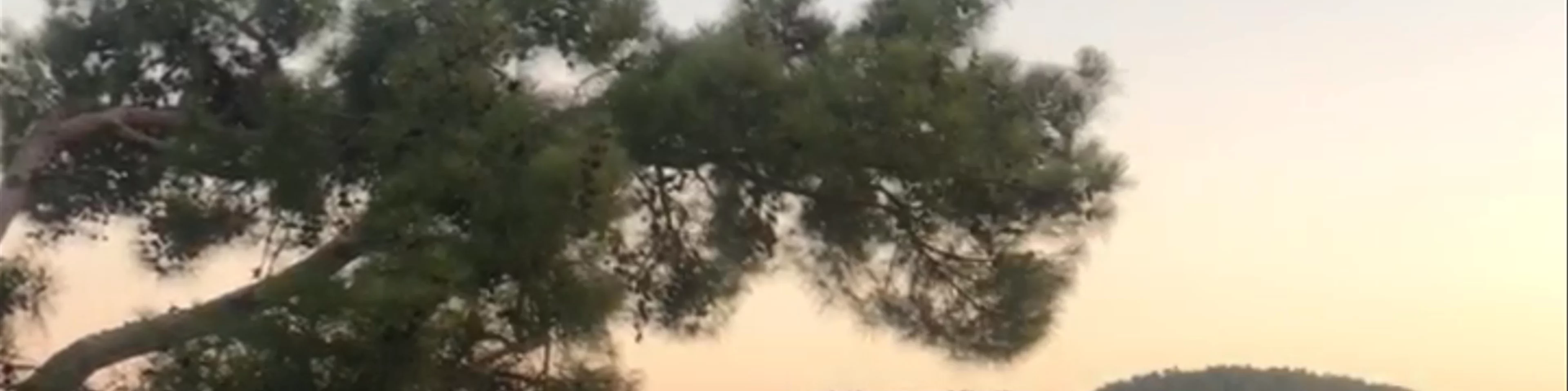 Yavansu Ciftliği